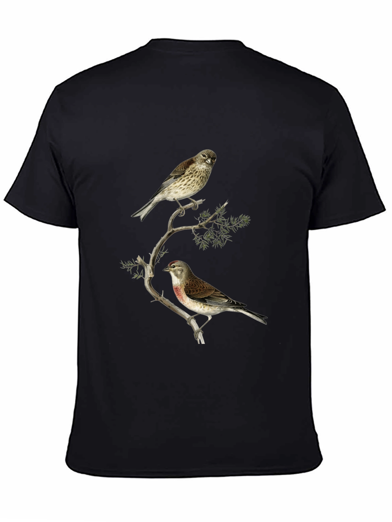 Birds on Branch Graphic Tee - Black