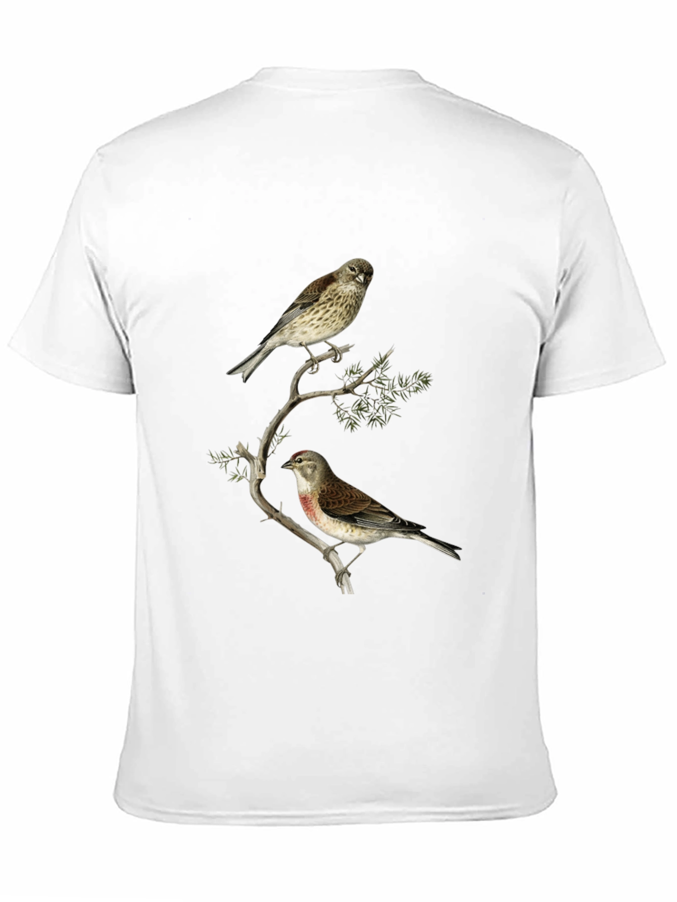 Birds on Branch Graphic Tee - Black