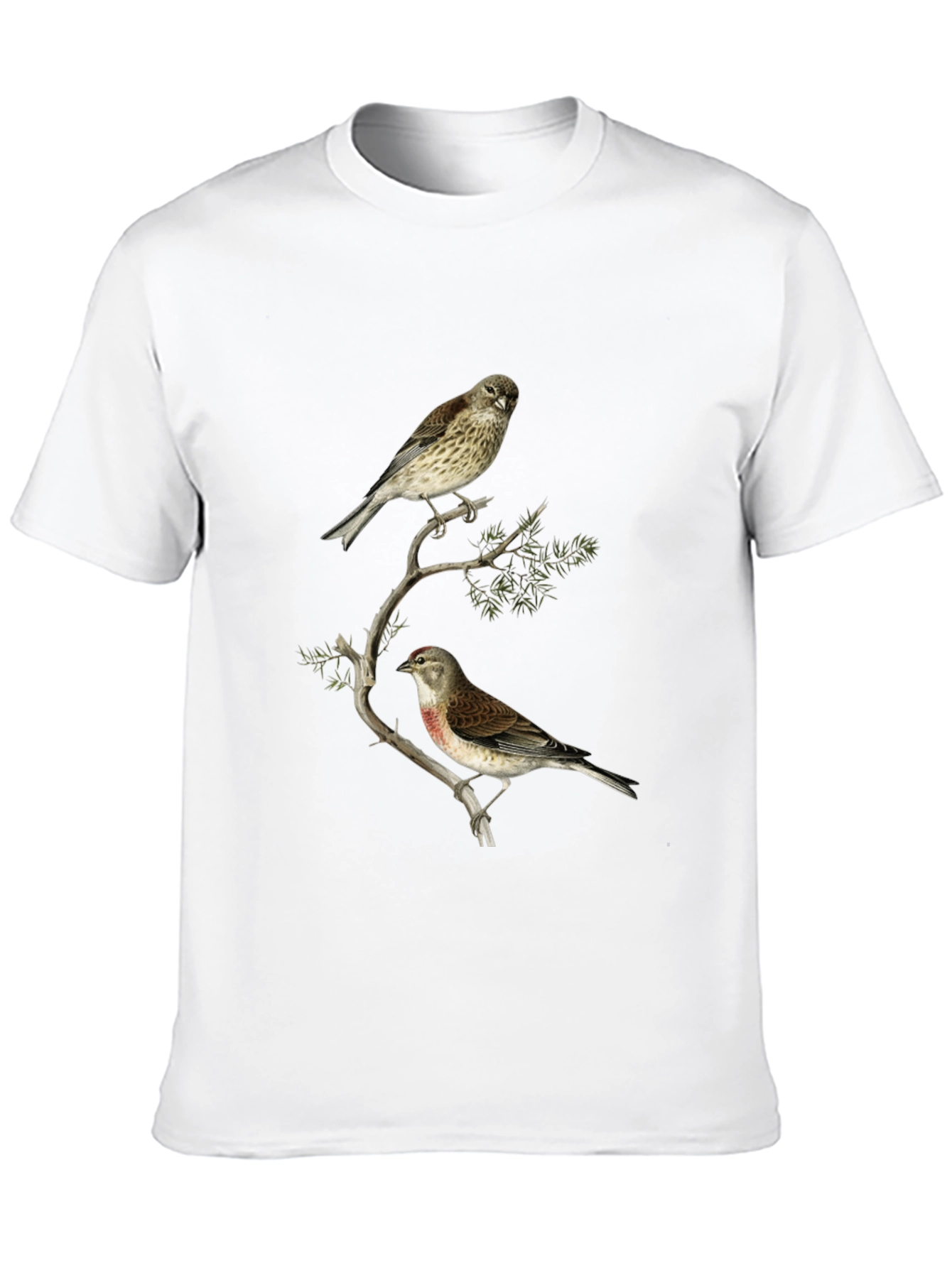 Birds on Branch Graphic Tee - Black
