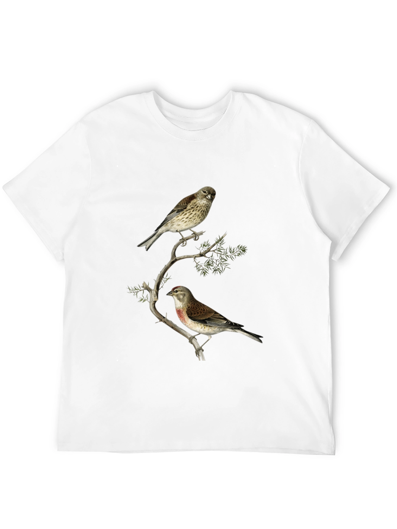 Birds on Branch Graphic Tee - Black