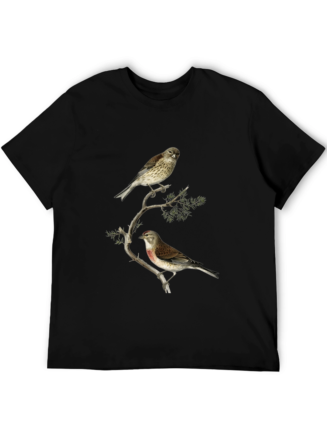 Birds on Branch Graphic Tee - Black