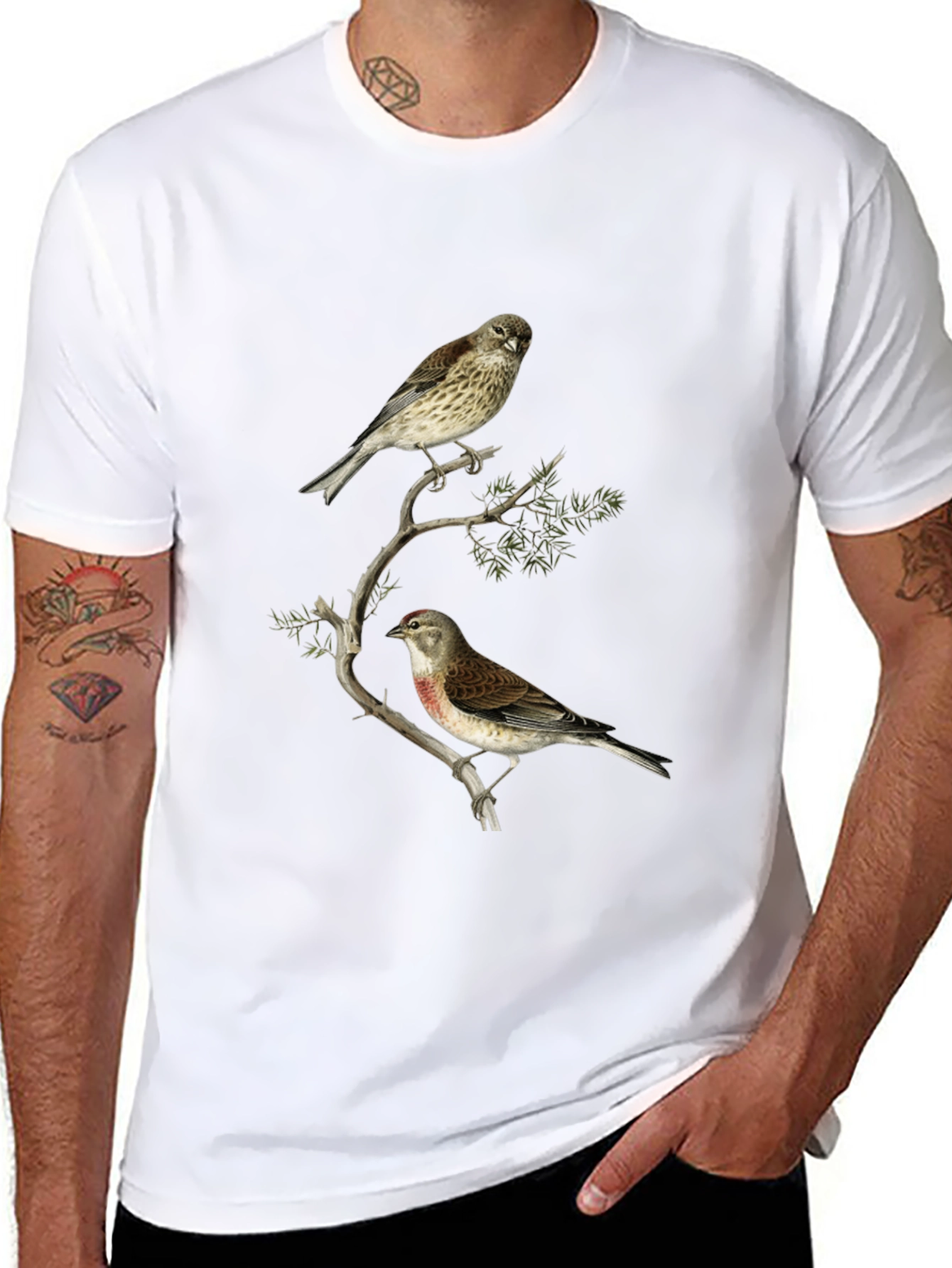 Birds on Branch Graphic Tee - Black