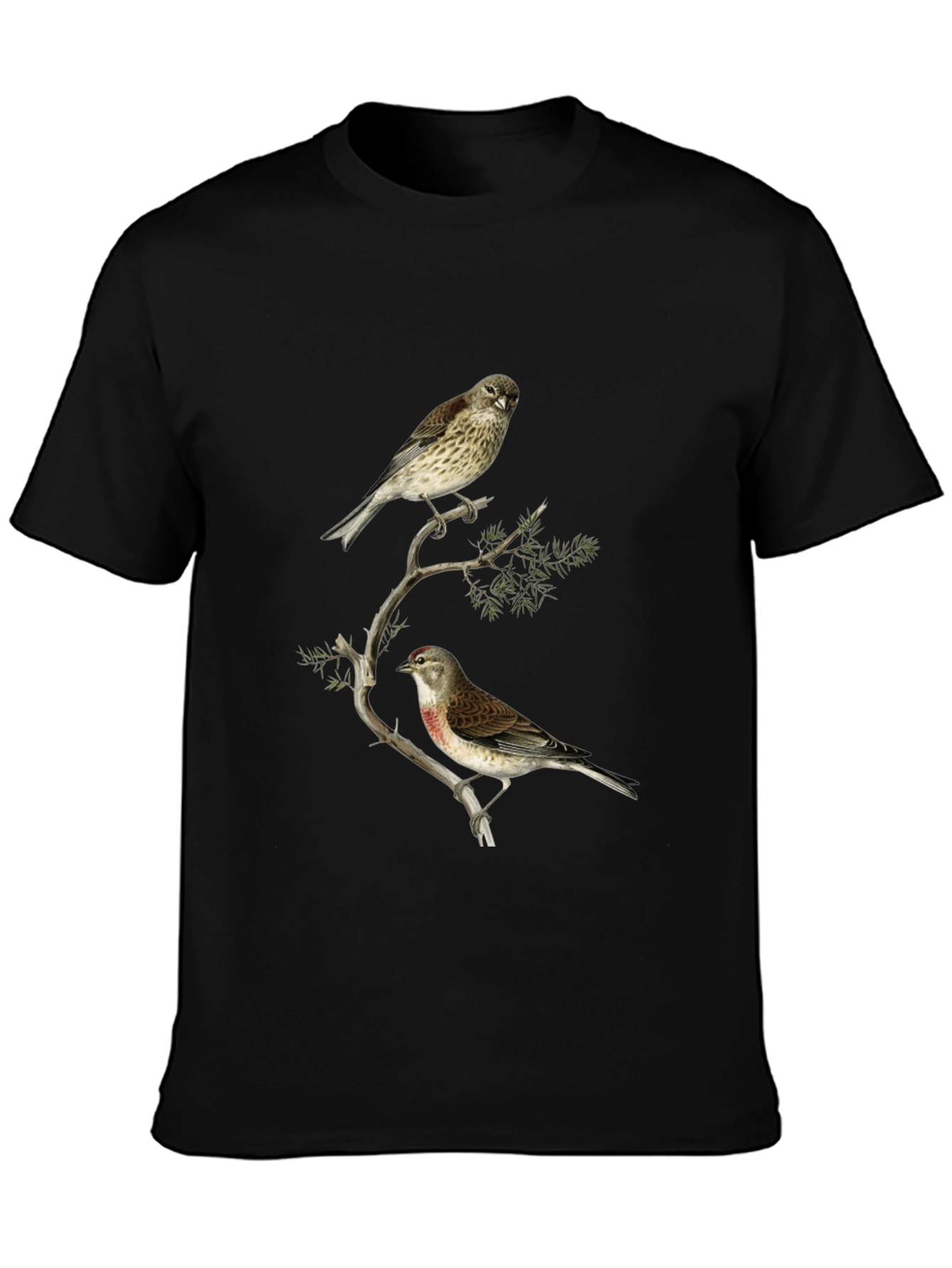 Birds on Branch Graphic Tee - Black