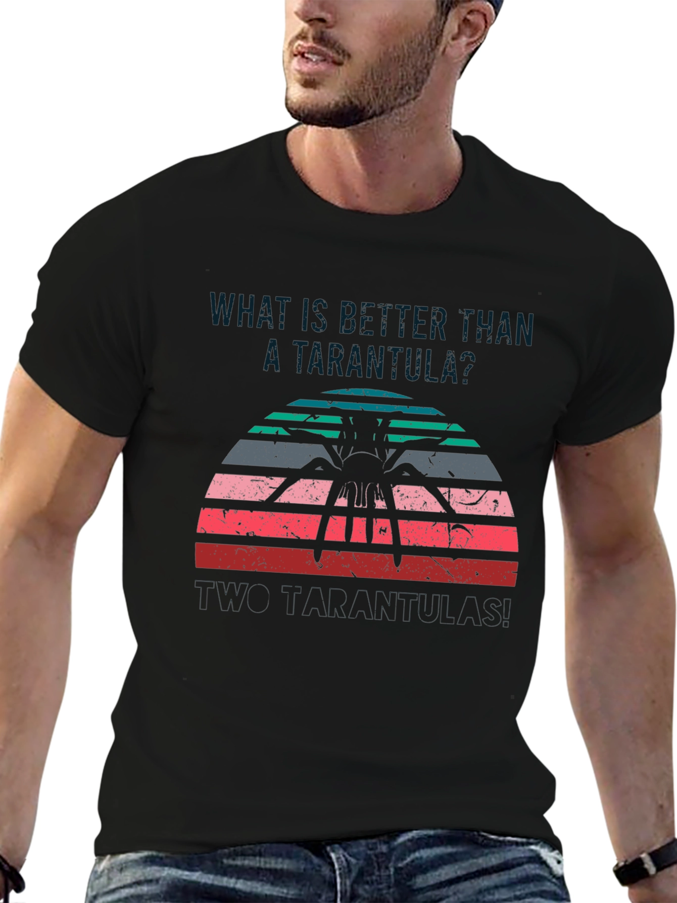 Tarantula Sunset Graphic T-Shirt