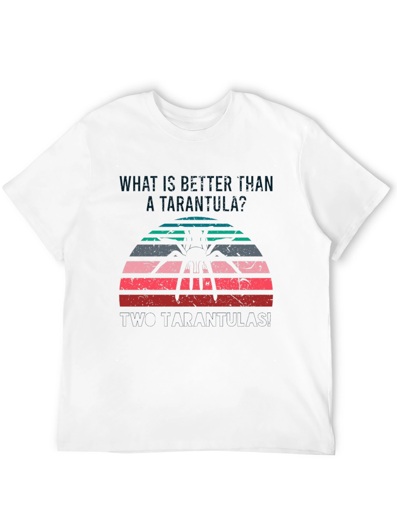 Tarantula Sunset Graphic T-Shirt