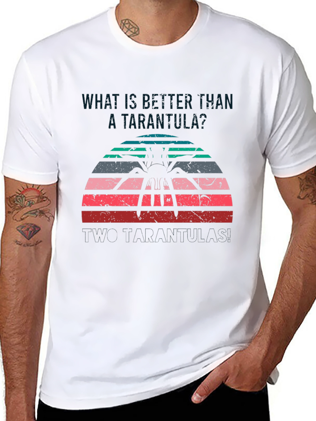 Tarantula Sunset Graphic T-Shirt