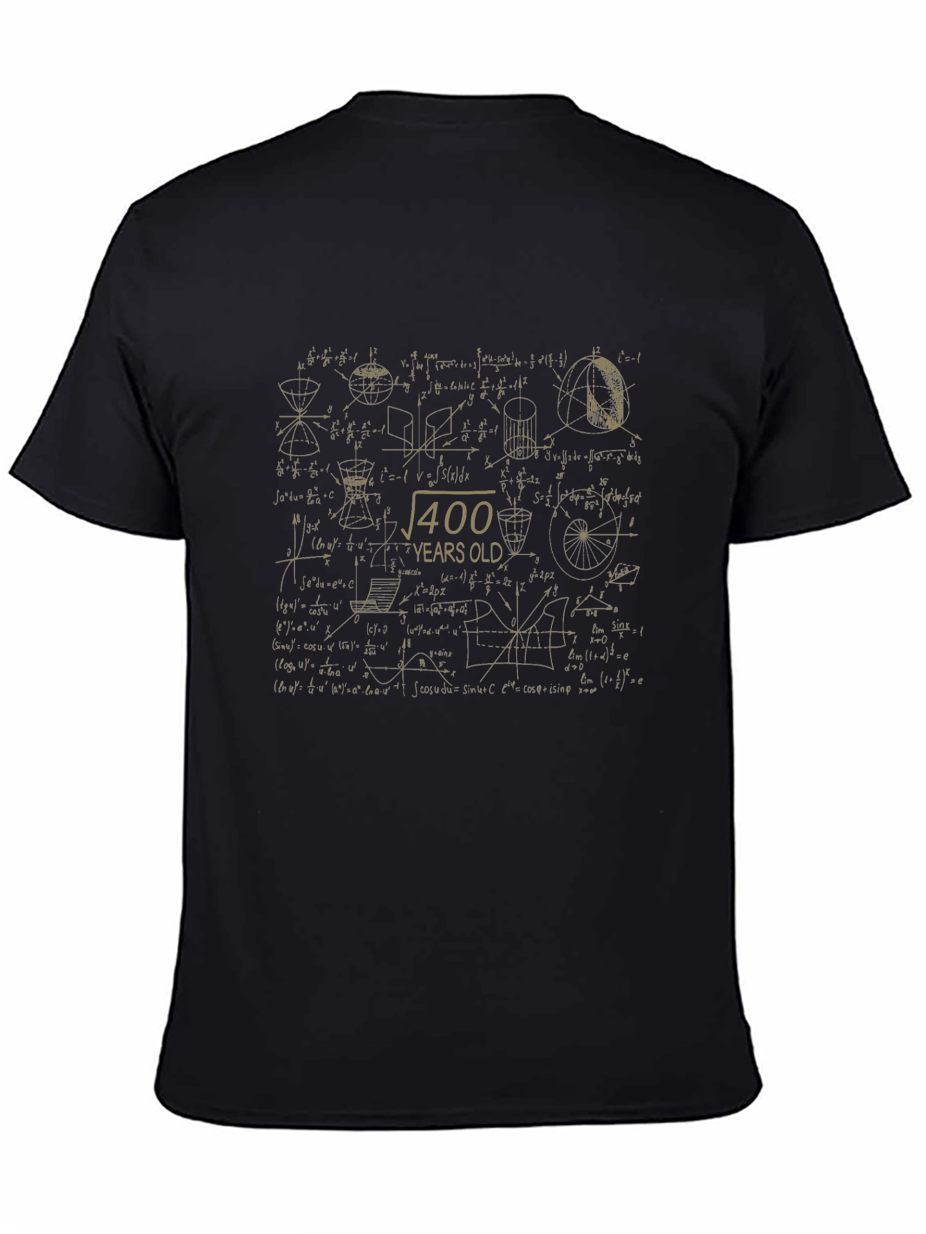Math Equations 400 Years Old Black T-Shirt