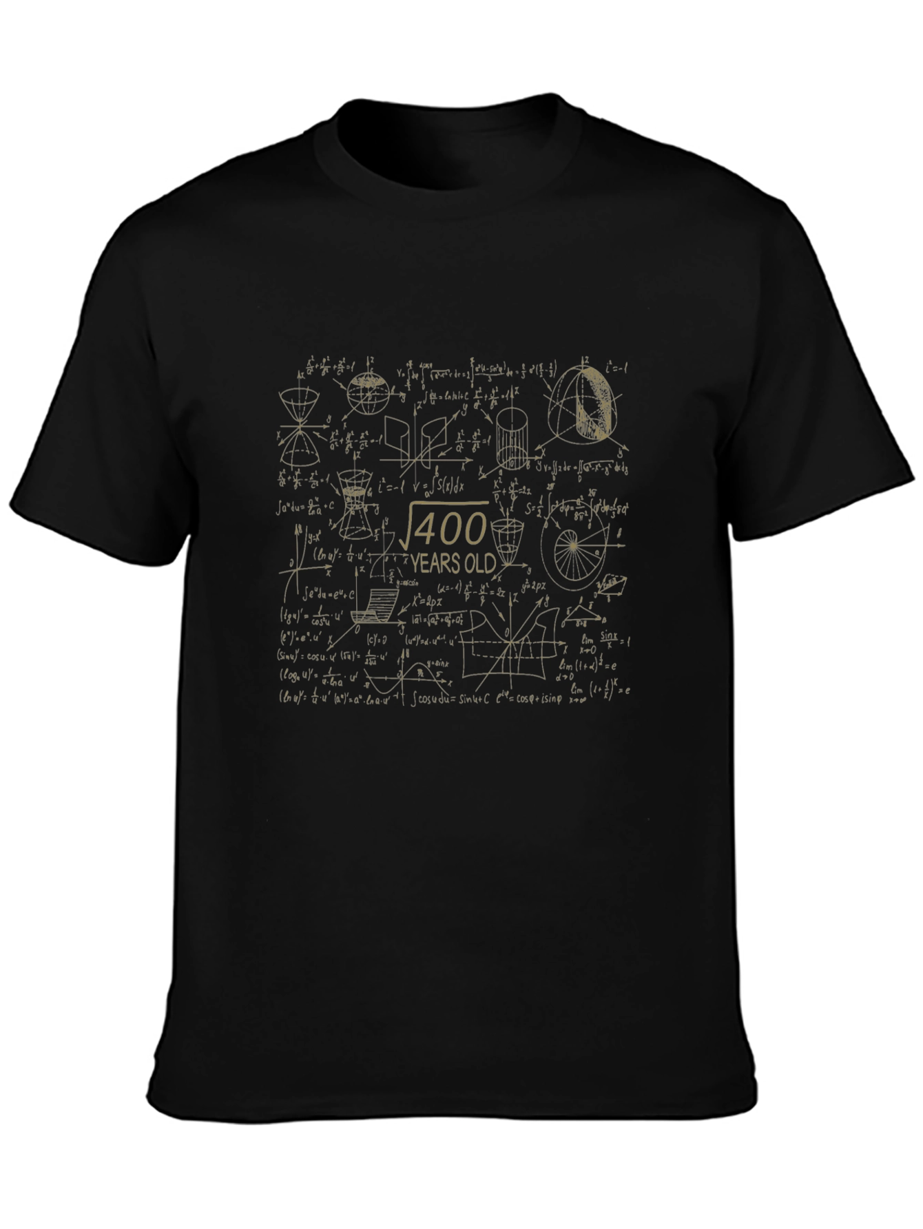 Math Equations 400 Years Old Black T-Shirt