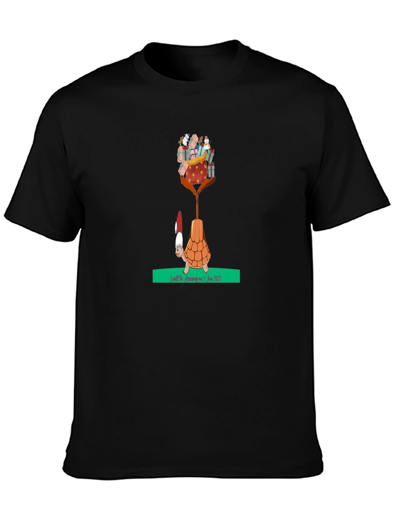 Holiday Turtle T-Shirt - Gifts Arriving Jan 2025