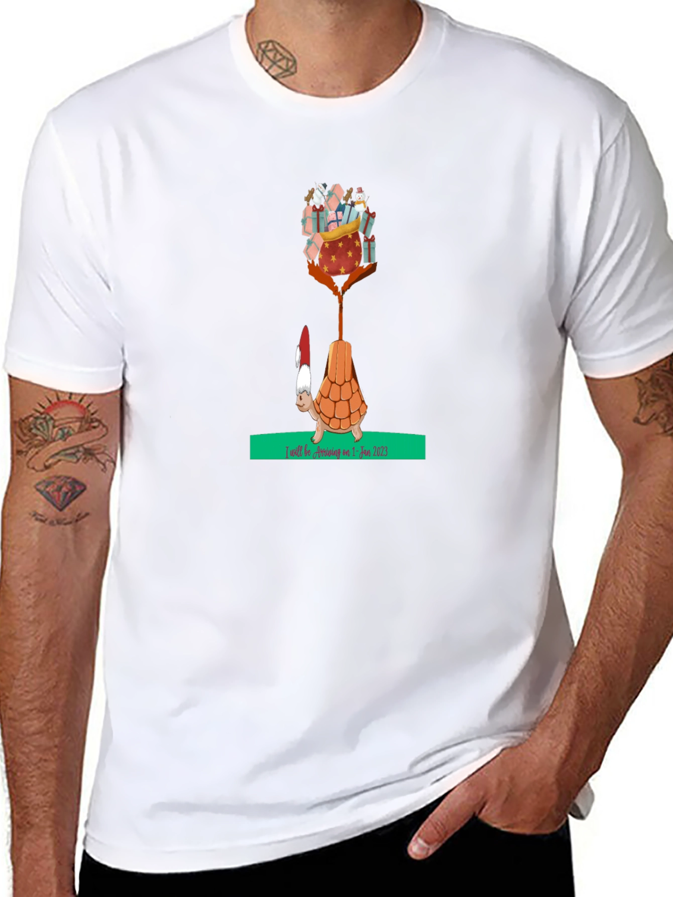 Holiday Turtle T-Shirt - Gifts Arriving Jan 2025