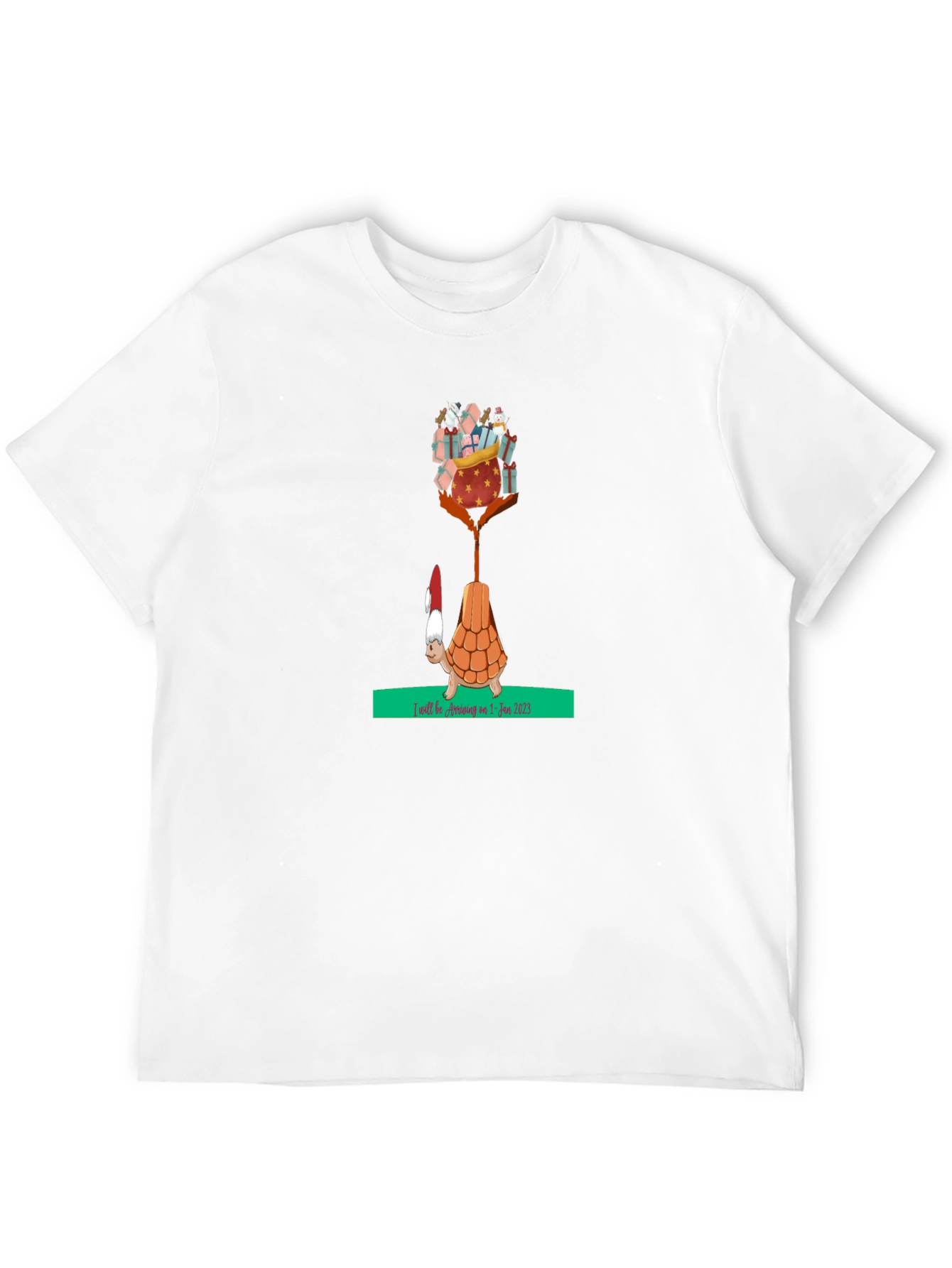 Holiday Turtle T-Shirt - Gifts Arriving Jan 2025