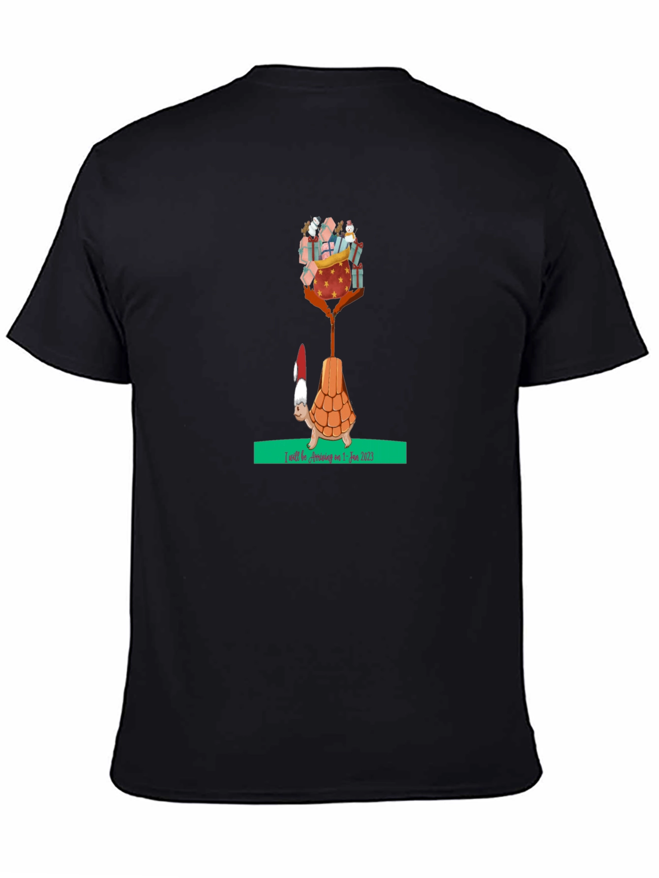 Holiday Turtle T-Shirt - Gifts Arriving Jan 2025