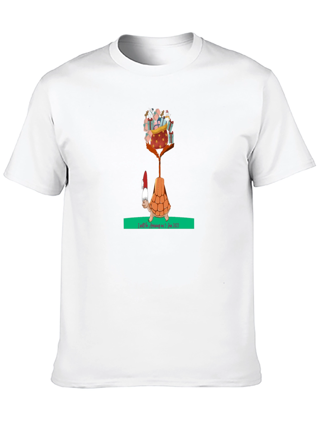 Holiday Turtle T-Shirt - Gifts Arriving Jan 2025