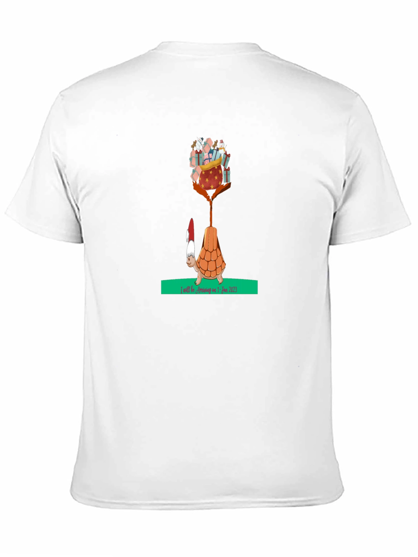 Holiday Turtle T-Shirt - Gifts Arriving Jan 2025