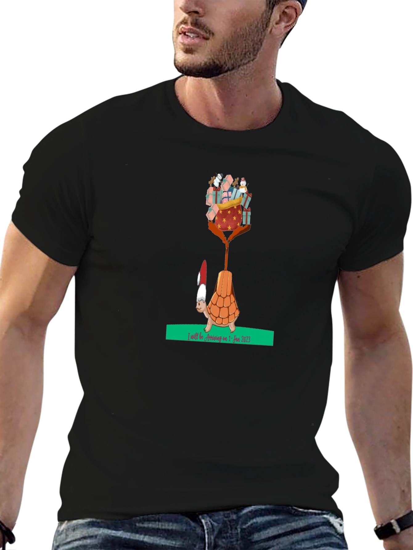 Holiday Turtle T-Shirt - Gifts Arriving Jan 2025
