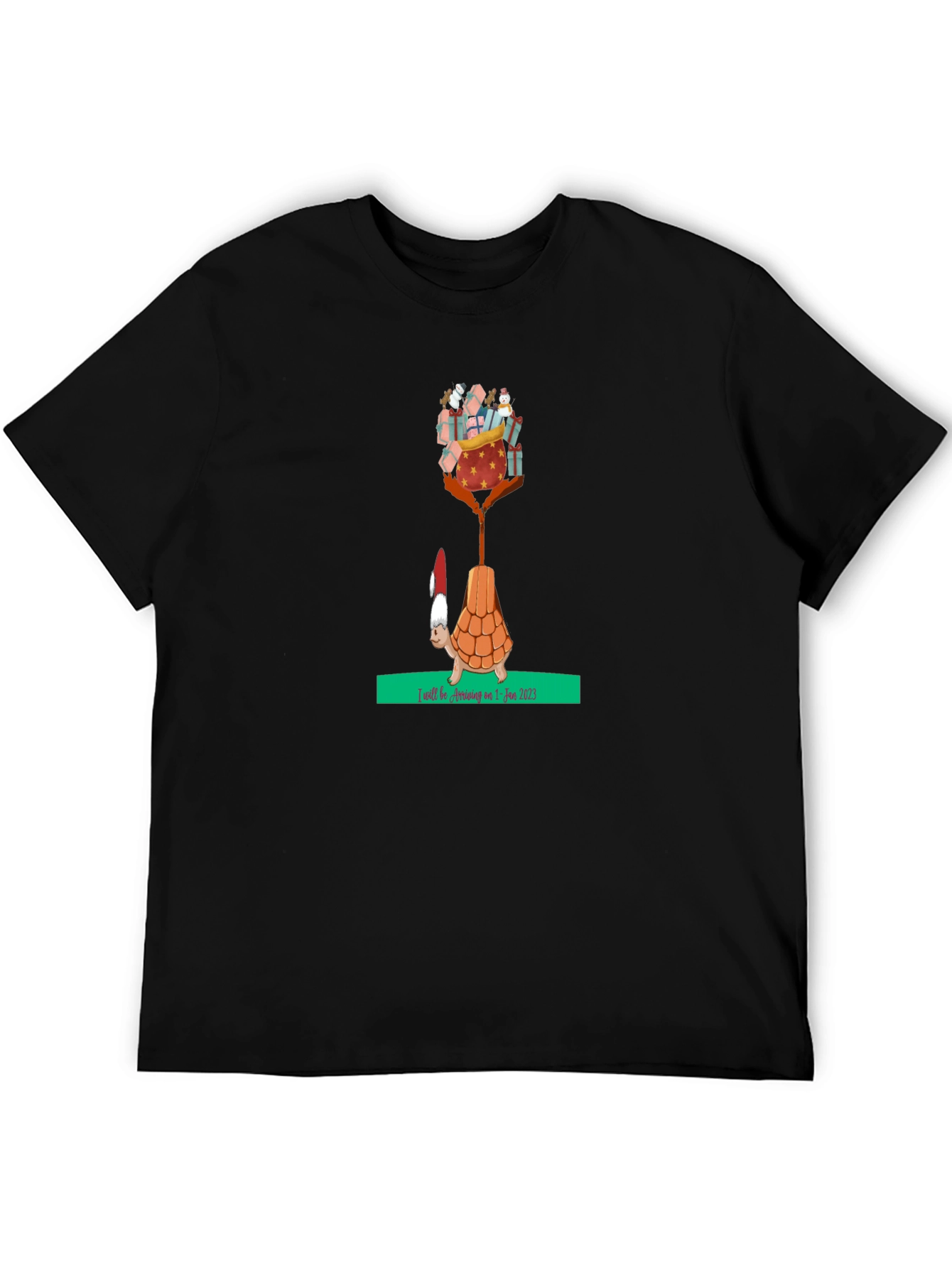 Holiday Turtle T-Shirt - Gifts Arriving Jan 2025