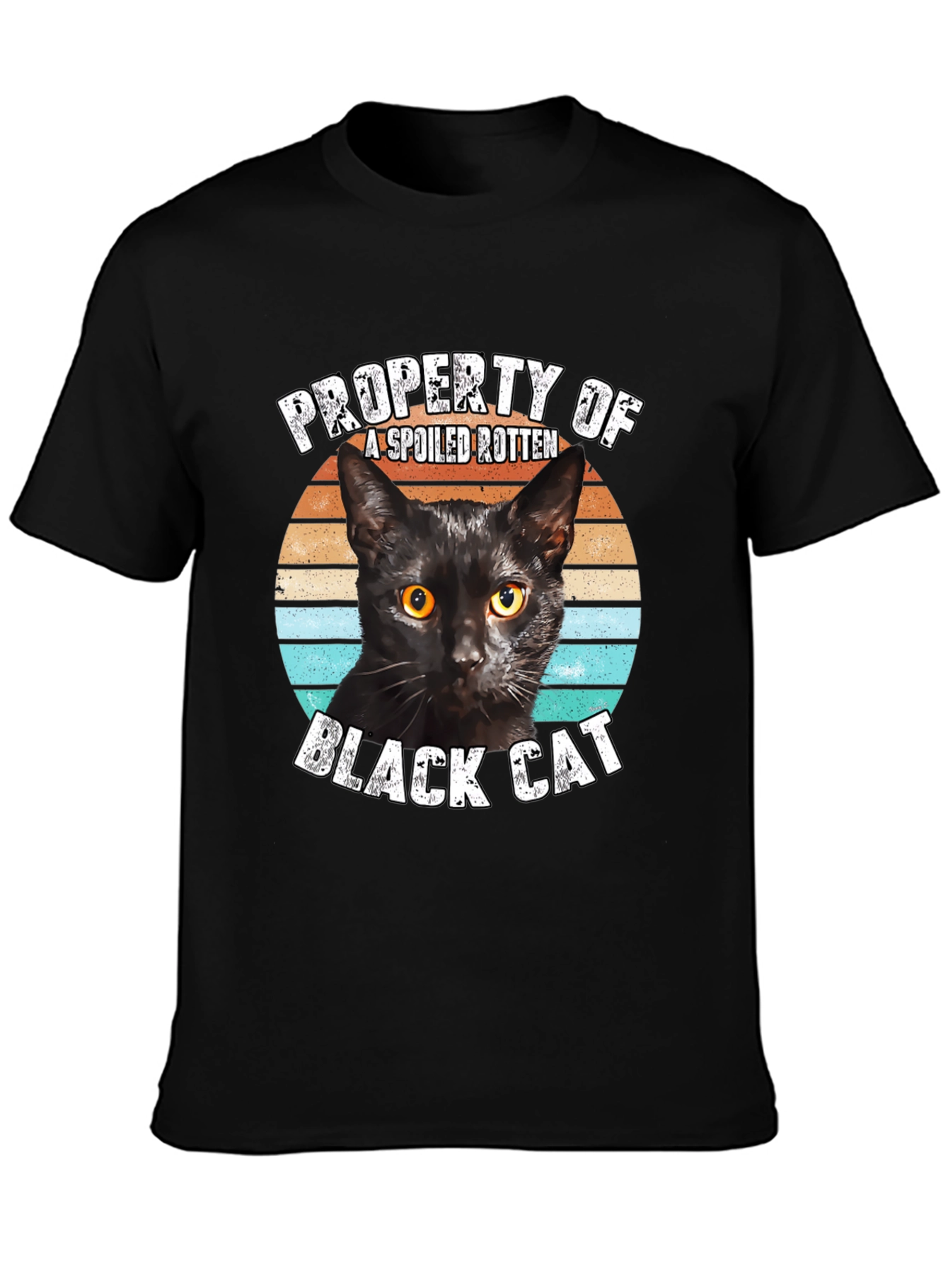 Property of a Spoiled Rotten Black Cat Graphic Tee