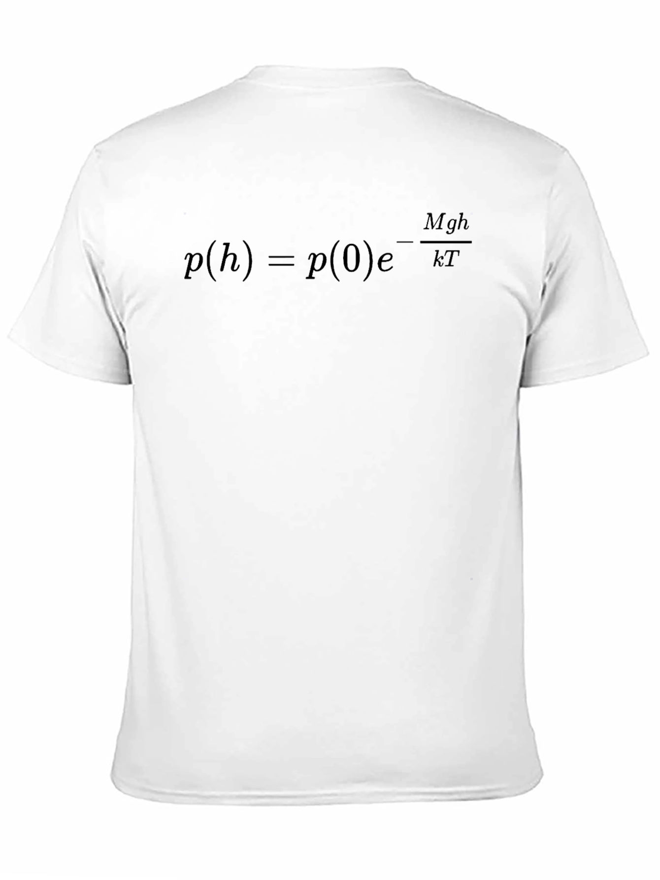 Physics Equation Graphic Tee - Pressure Altitude Formula