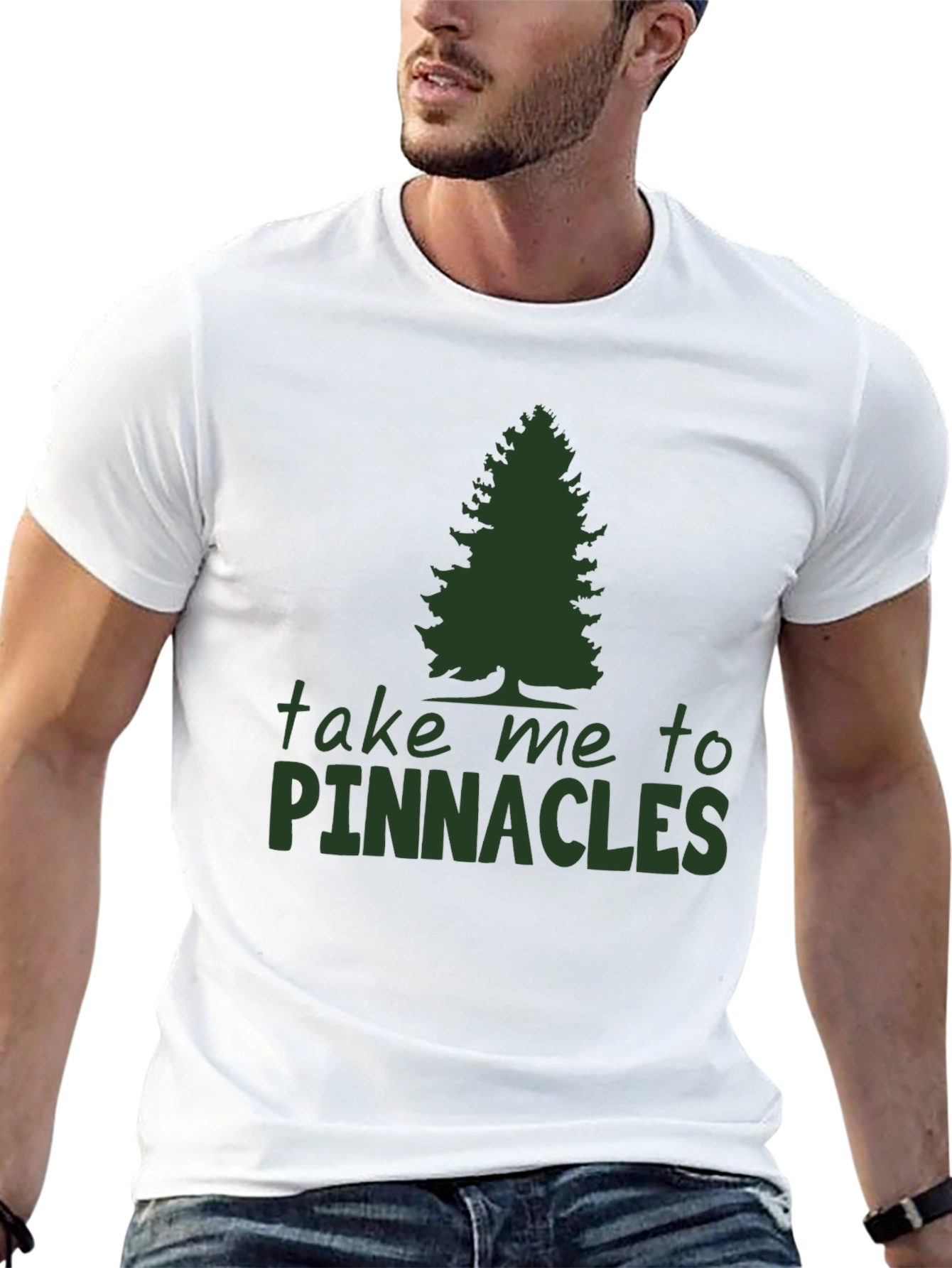 Pinnacles Graphic Tee - Nature Lovers Black T-Shirt