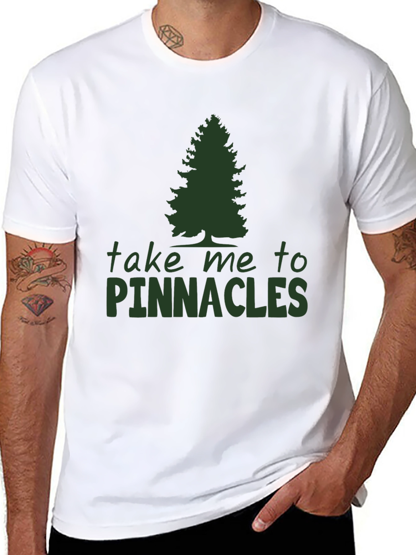 Pinnacles Graphic Tee - Nature Lovers Black T-Shirt