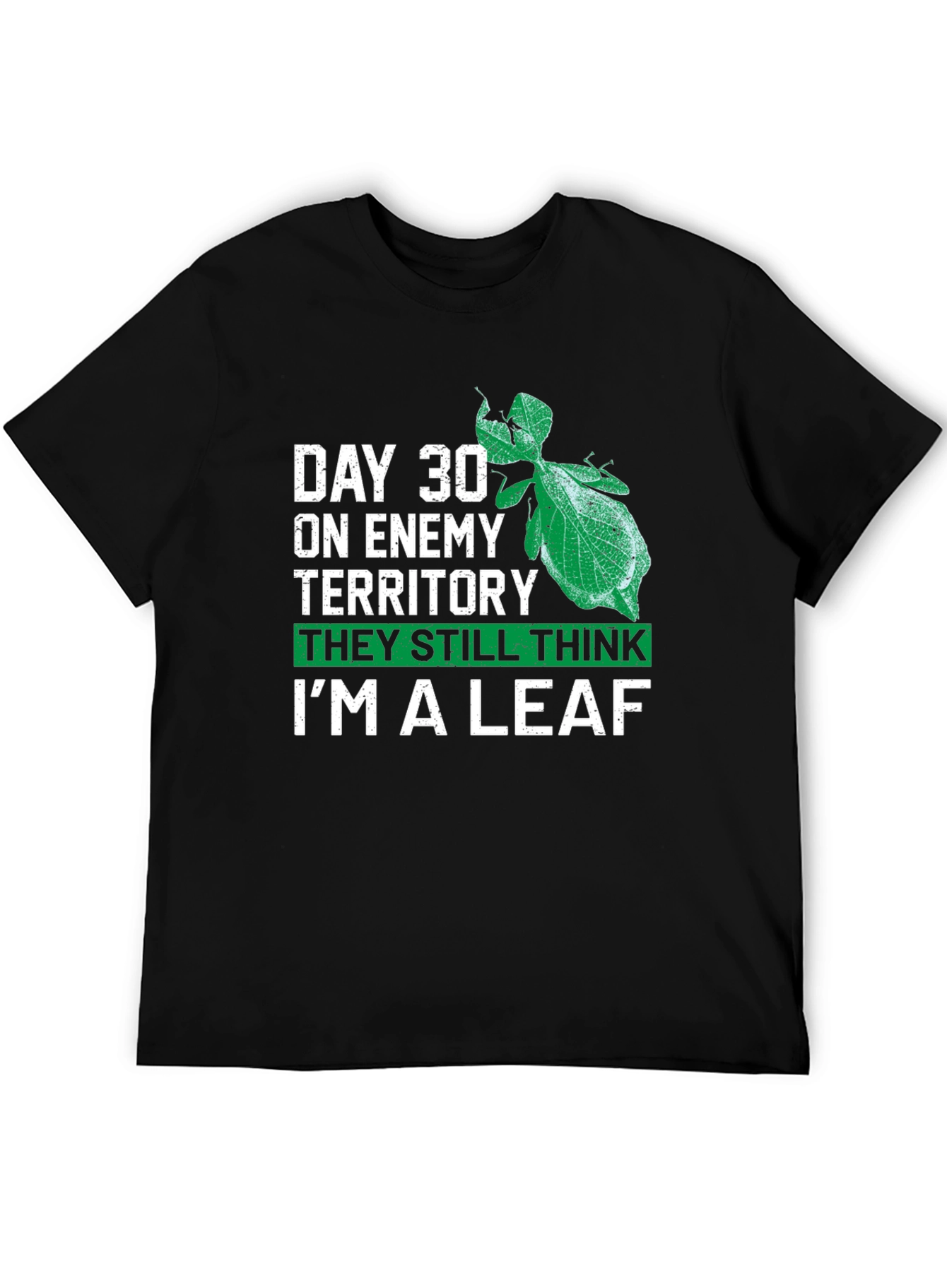 Day 30 Leaf Bug T-Shirt