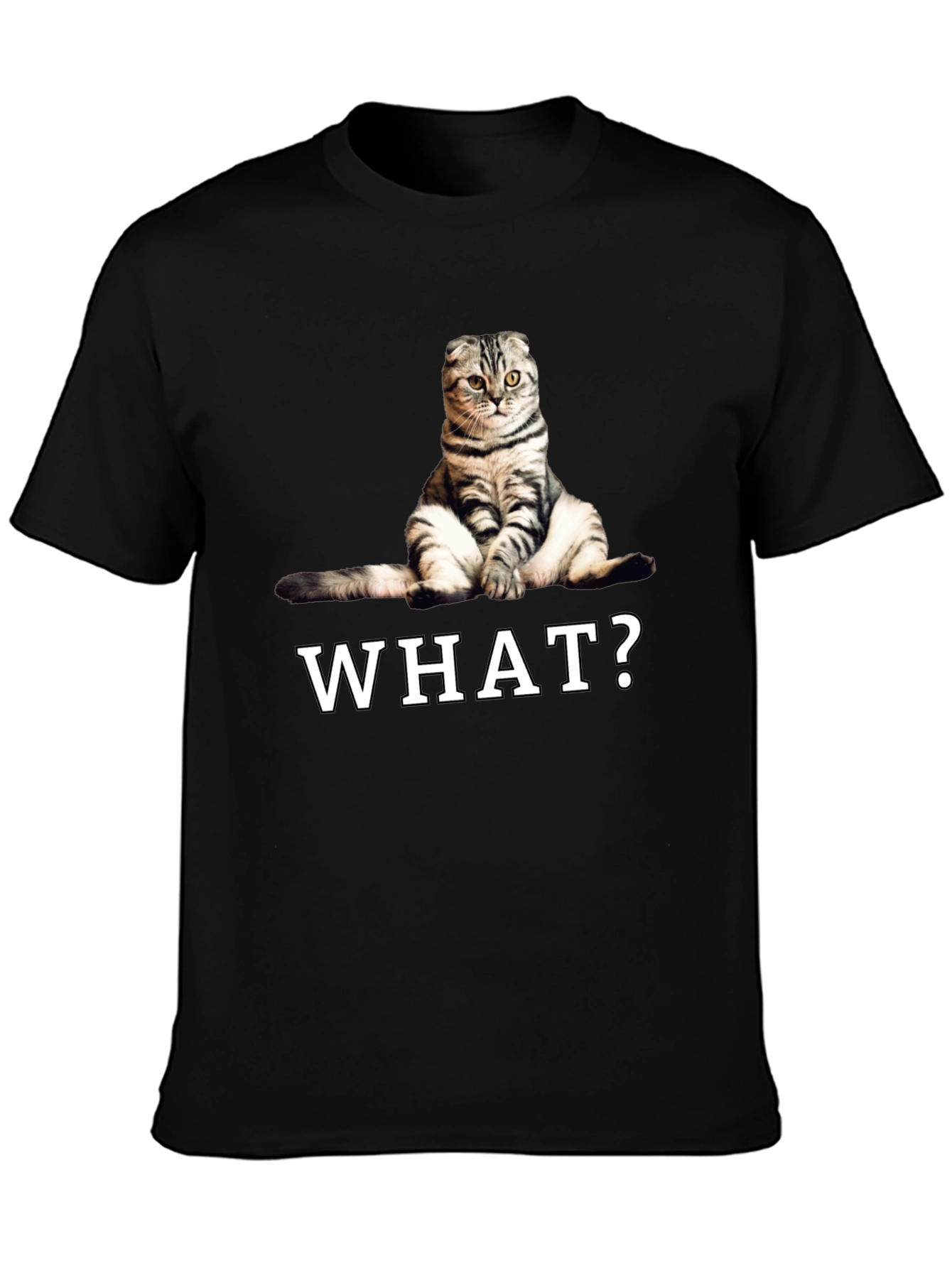 Funny Cat What? Graphic T-Shirt