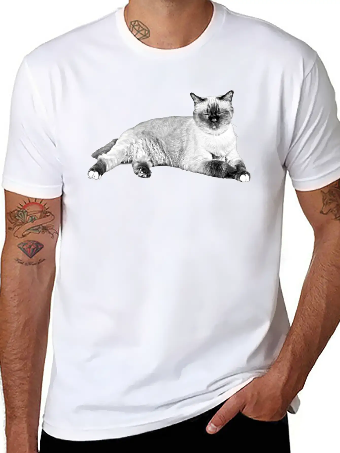 Cats Sleeping Unisex Casual T-Shirt – Clean Design For Daily Comfort