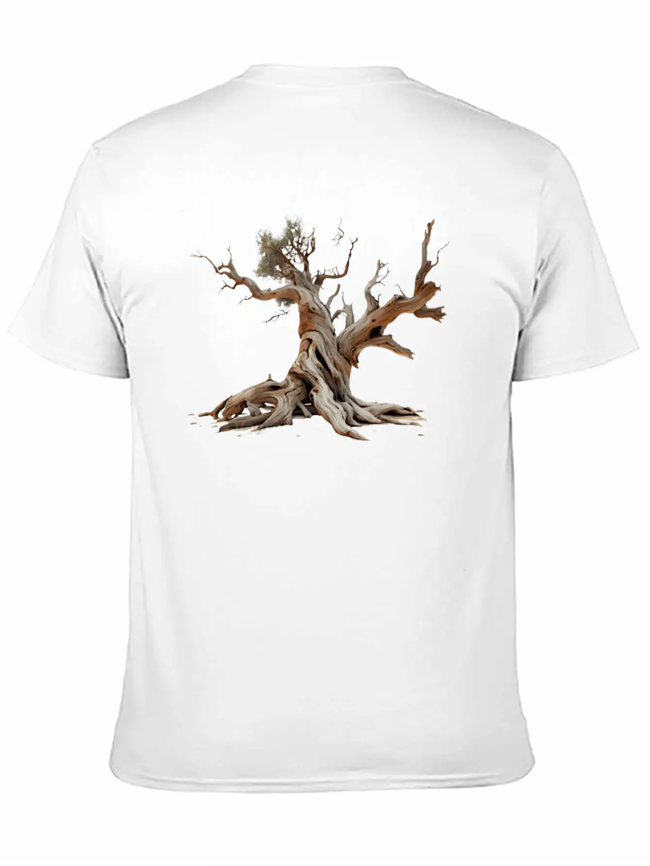 Dead Tree On Transparent Background Unisex Casual T-Shirt – Clean Design For Daily Comfort