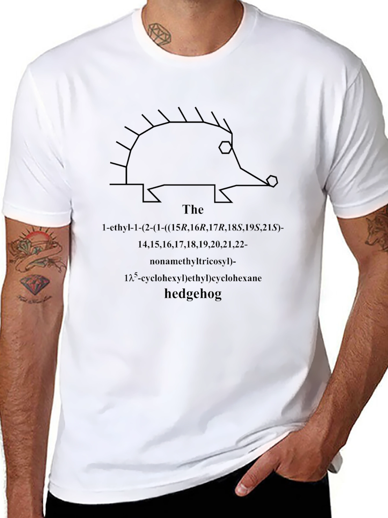 Hedgehog Molecule T-Shirt - Science Humor Tee