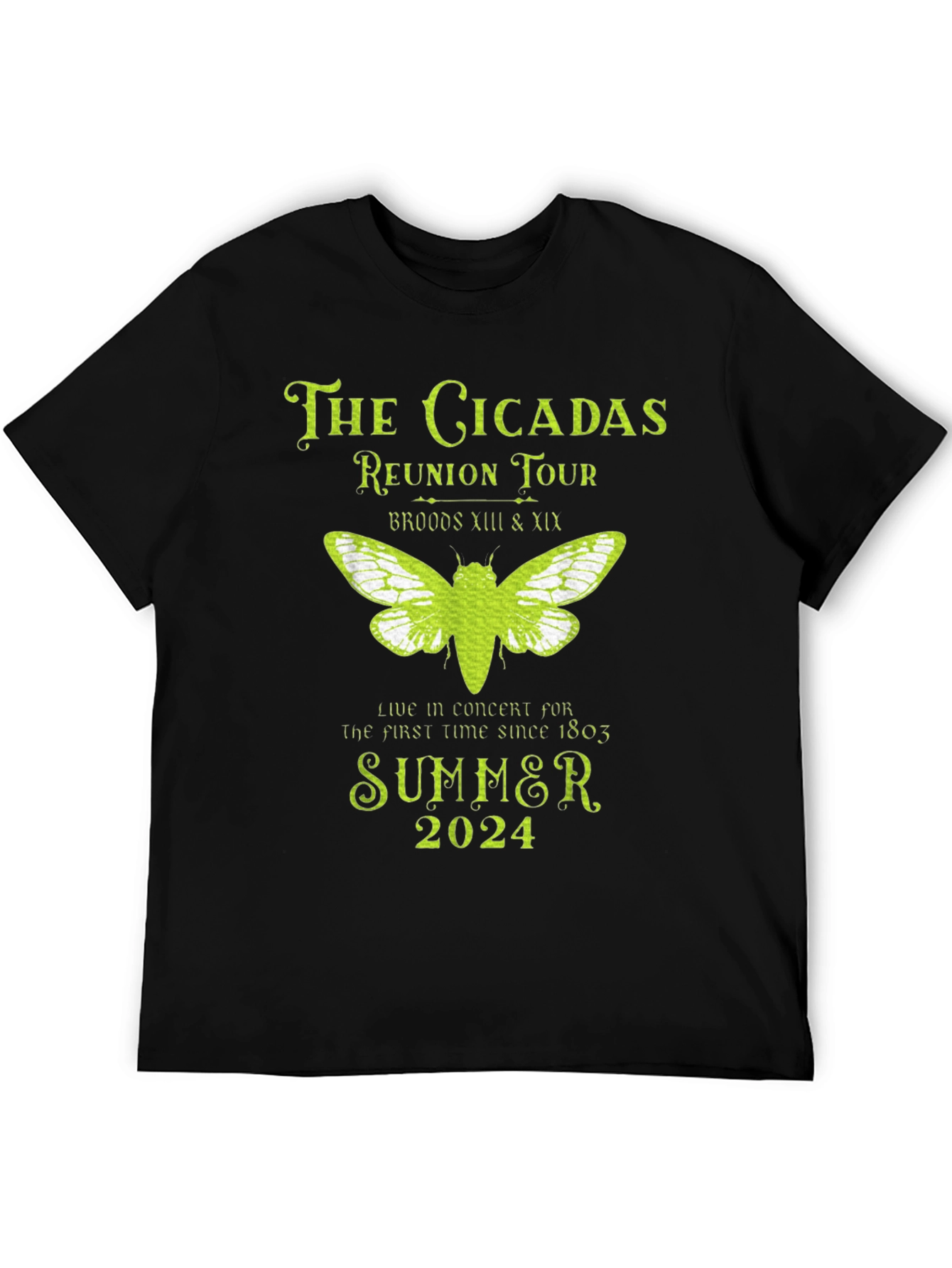 The Cicadas Reunion Tour T-Shirt - Summer 2024