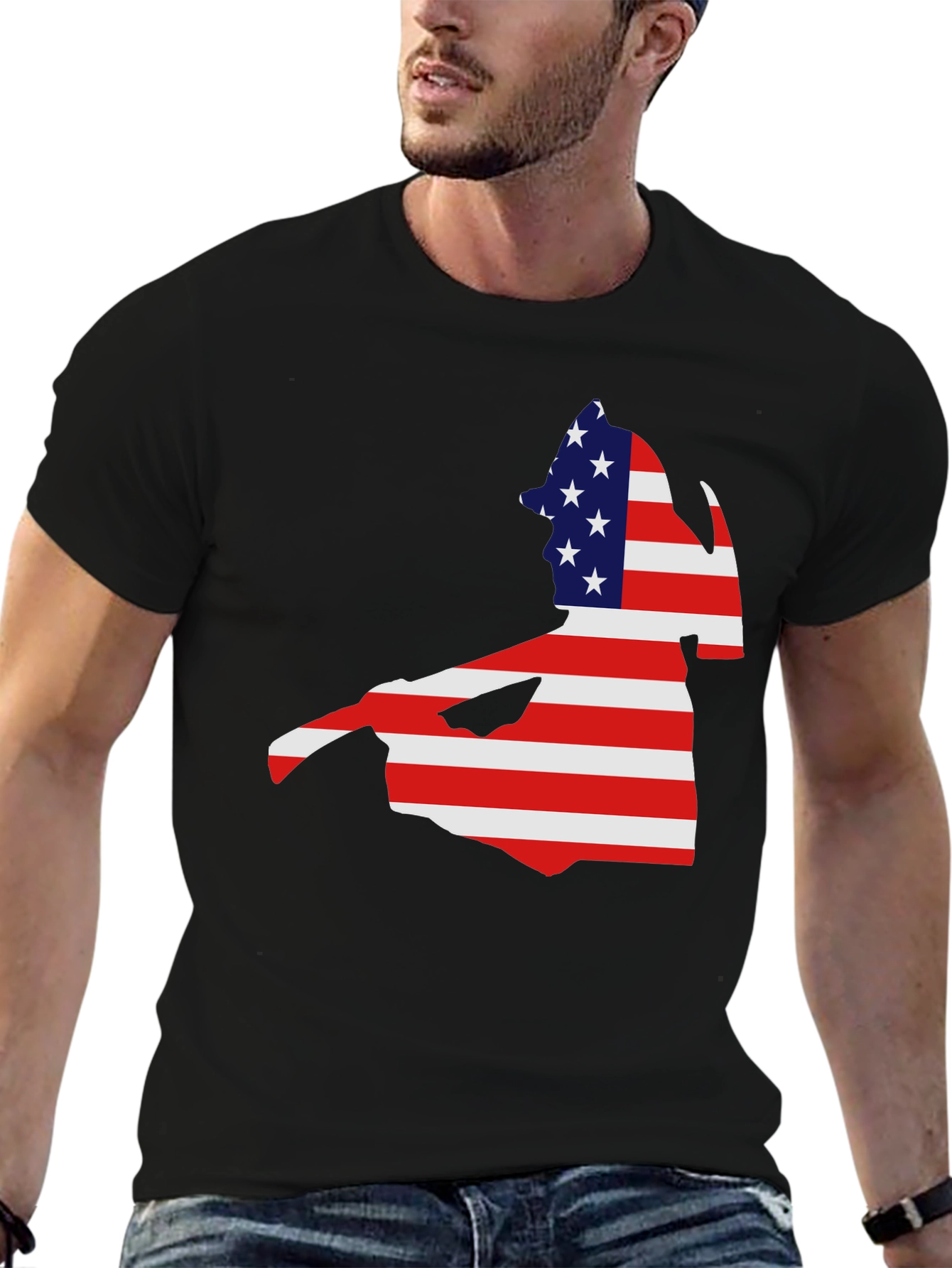 American Flag Cape Cod Black T-Shirt