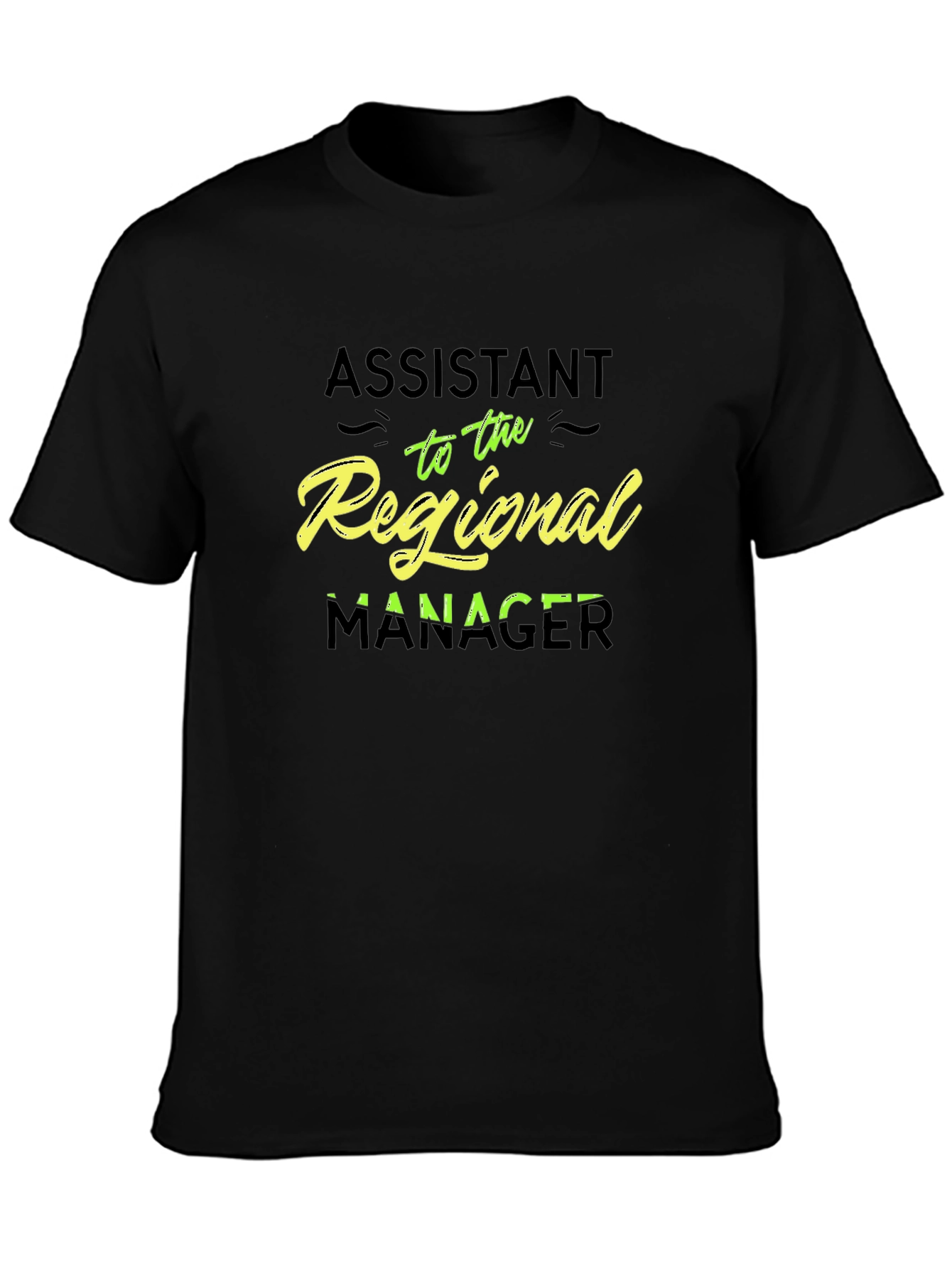 Assistant to the Regional Manager T-Shirt