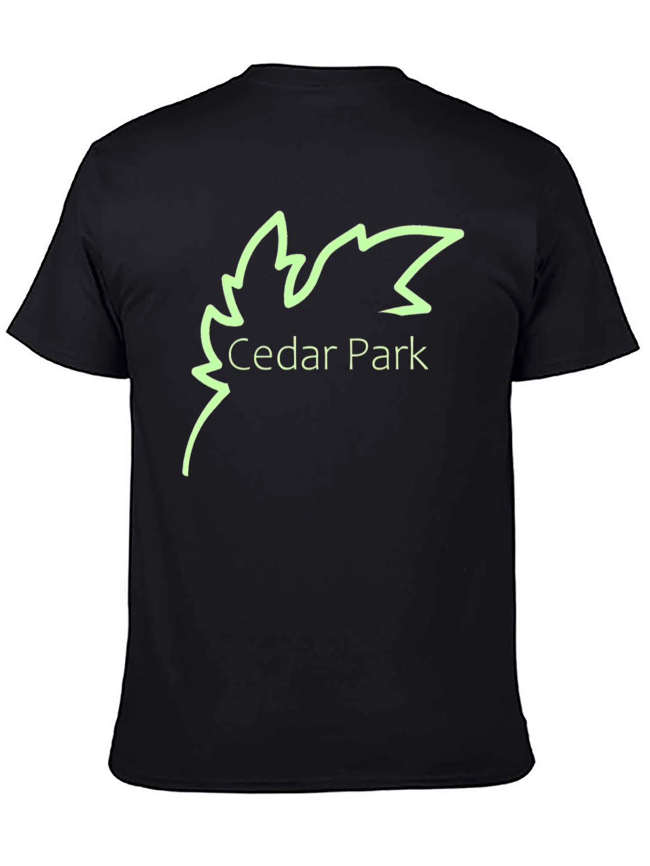 Cedar Park Graphic Tee - Black Cotton