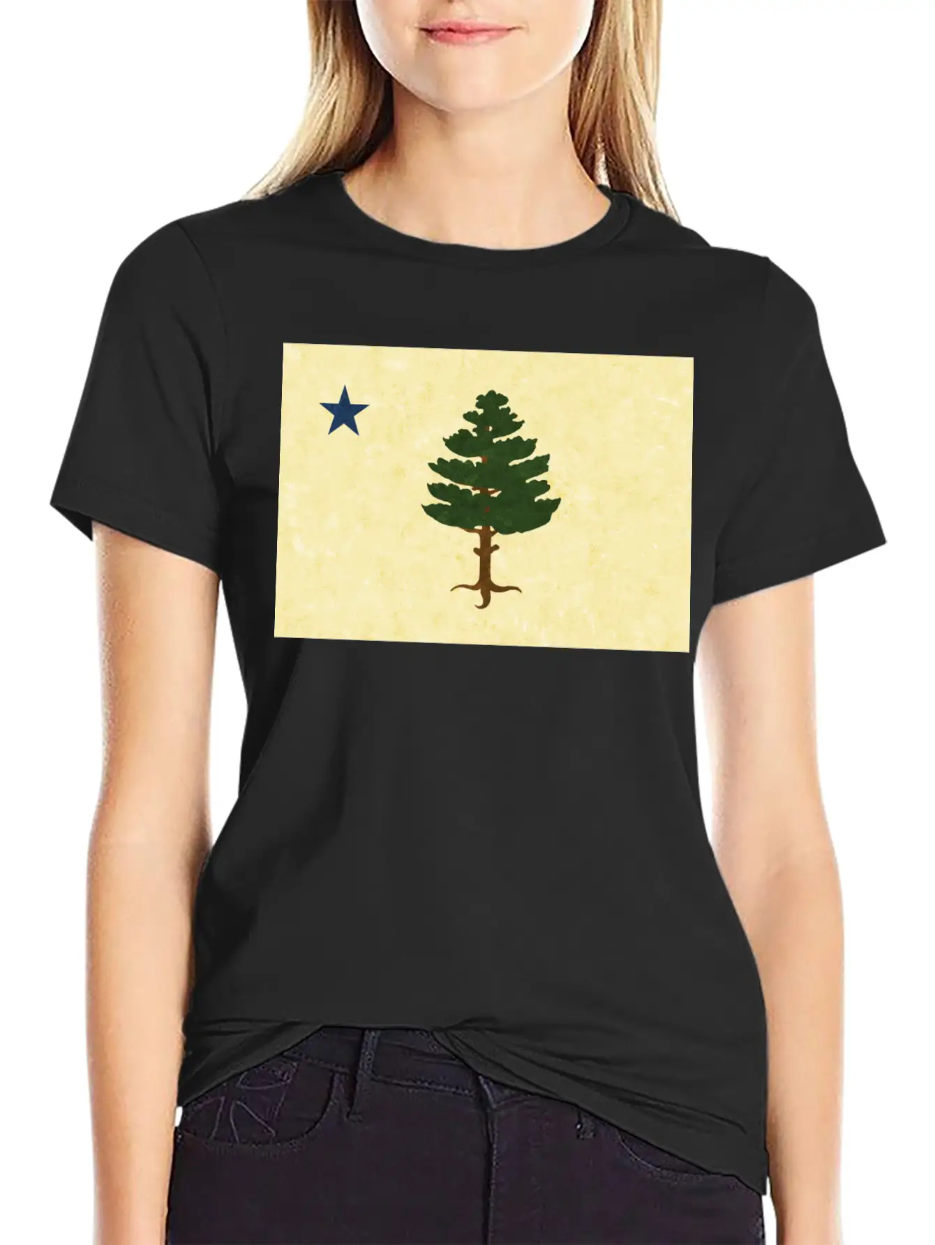 Original 1901 Maine Flag Unisex Casual T-Shirt – Clean Design For Daily Comfort