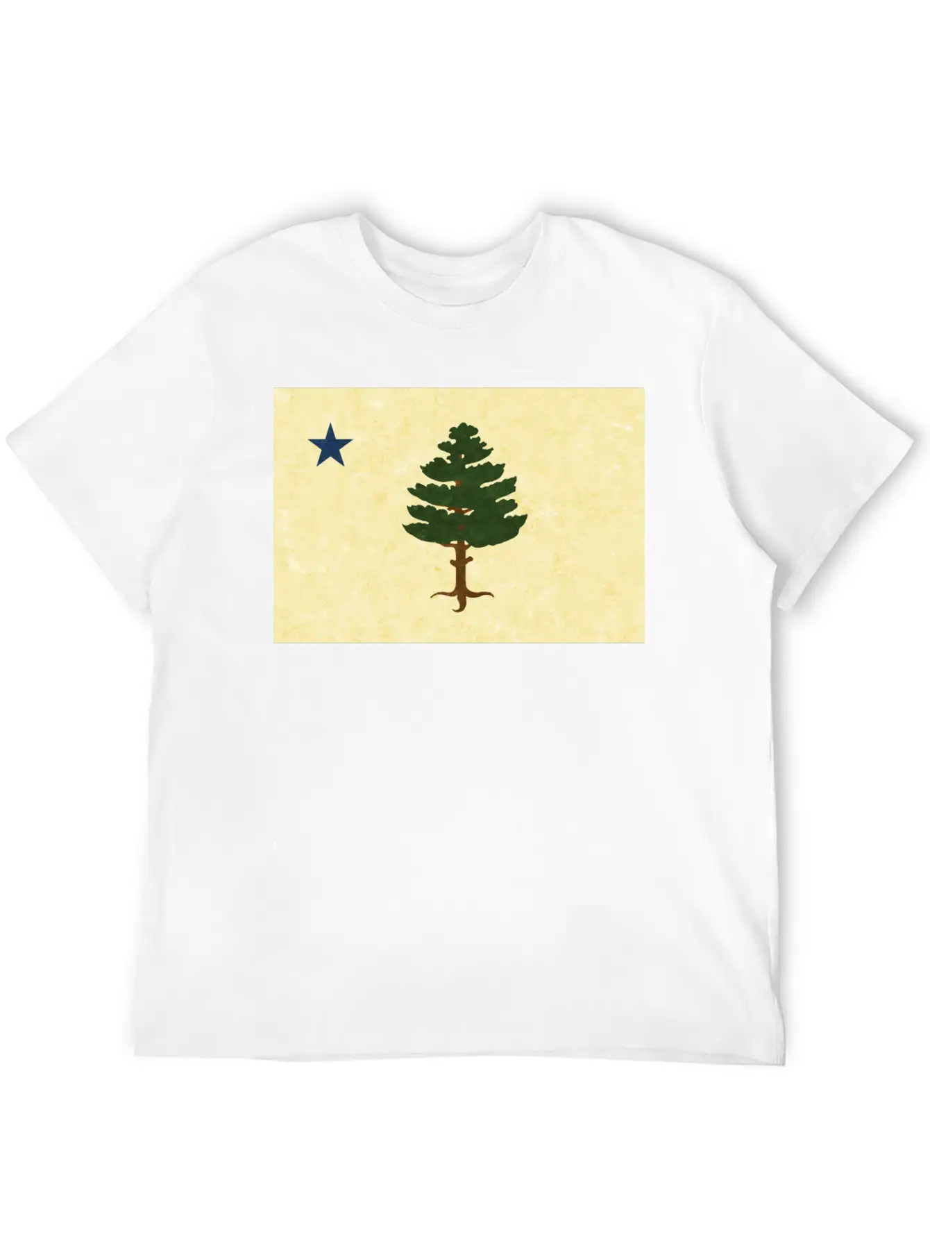 Original 1901 Maine Flag Unisex Casual T-Shirt – Clean Design For Daily Comfort