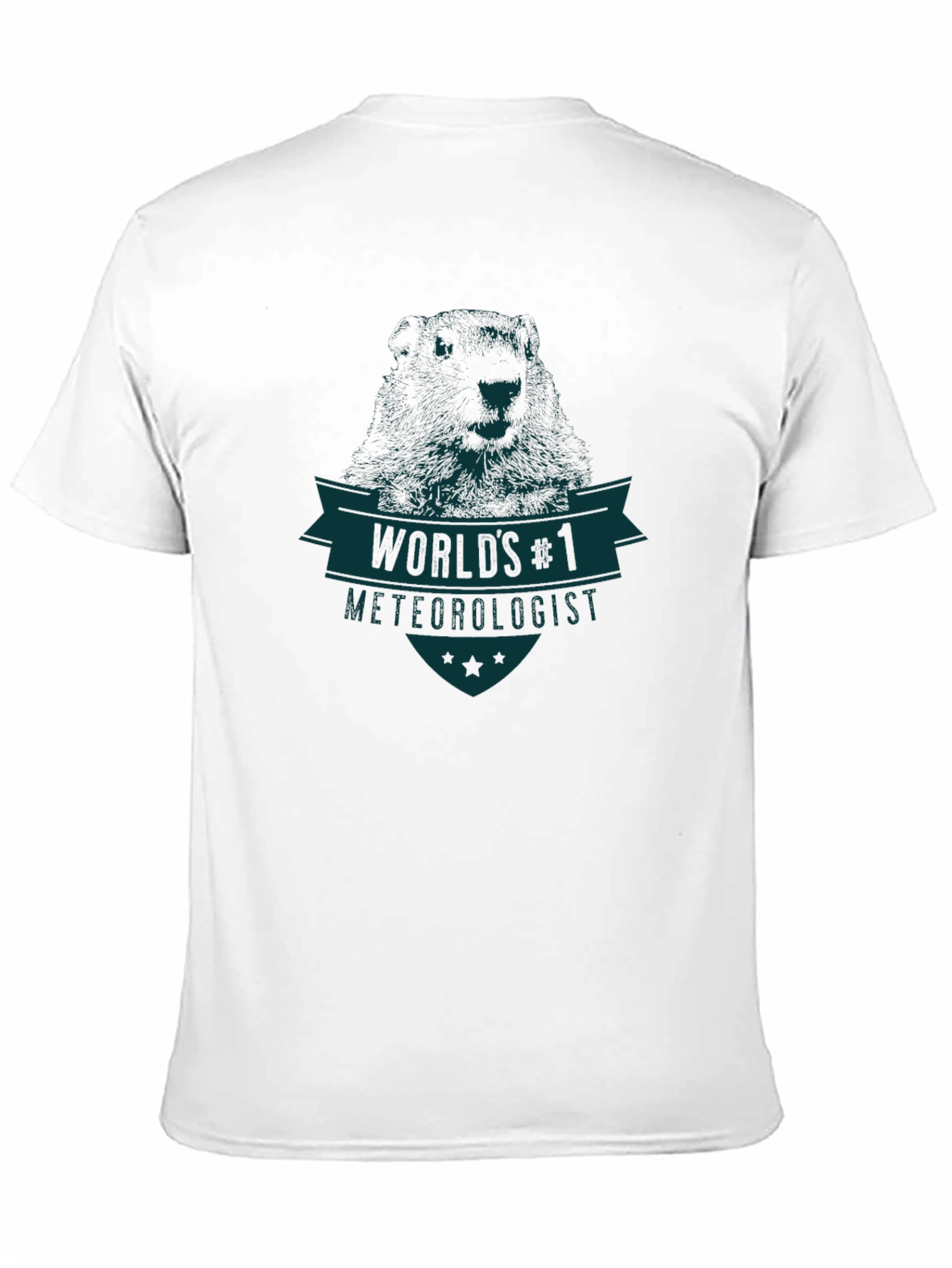 Worlds #1 Meteorologist Graphic T-Shirt