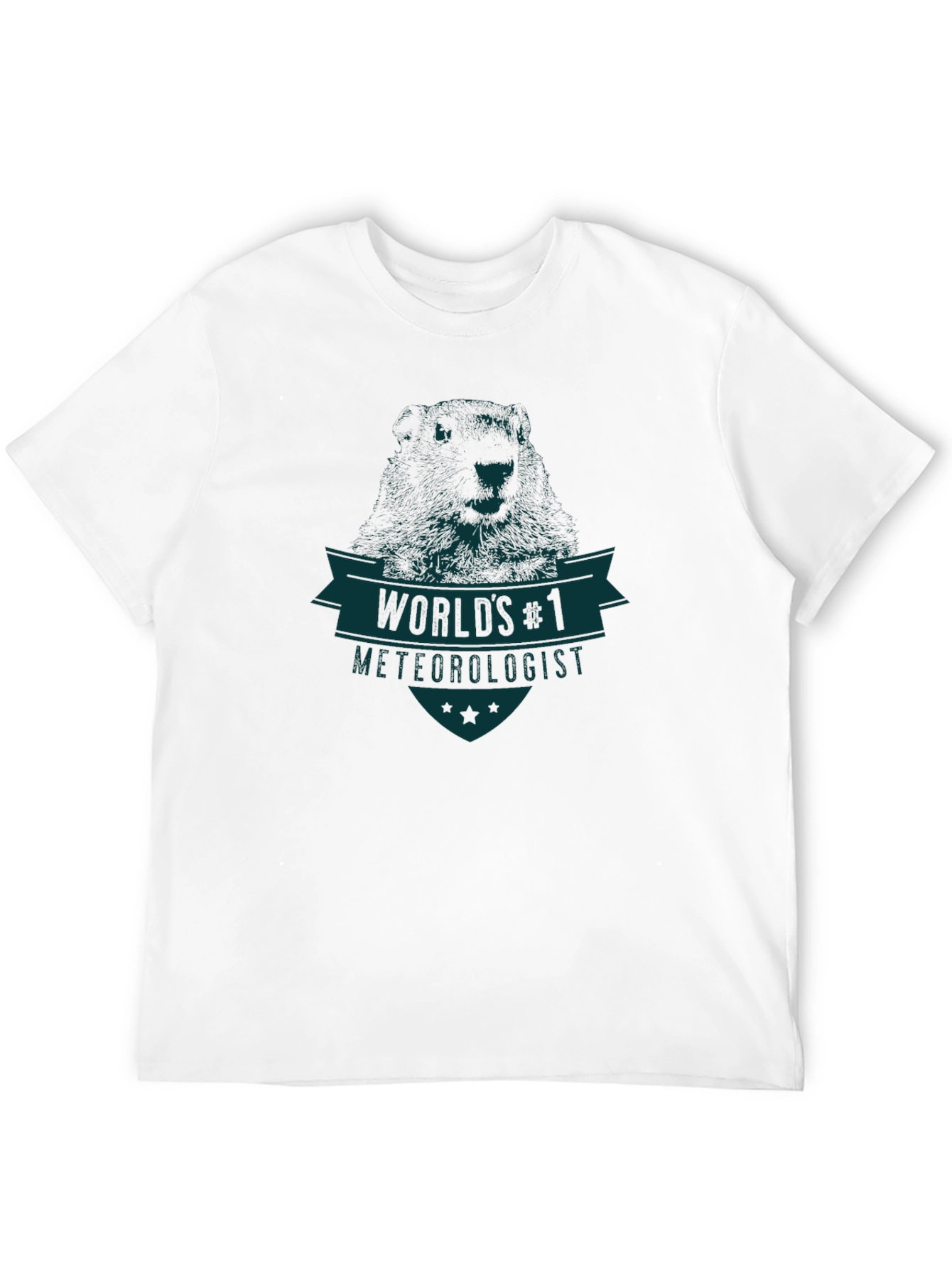 Worlds #1 Meteorologist Graphic T-Shirt