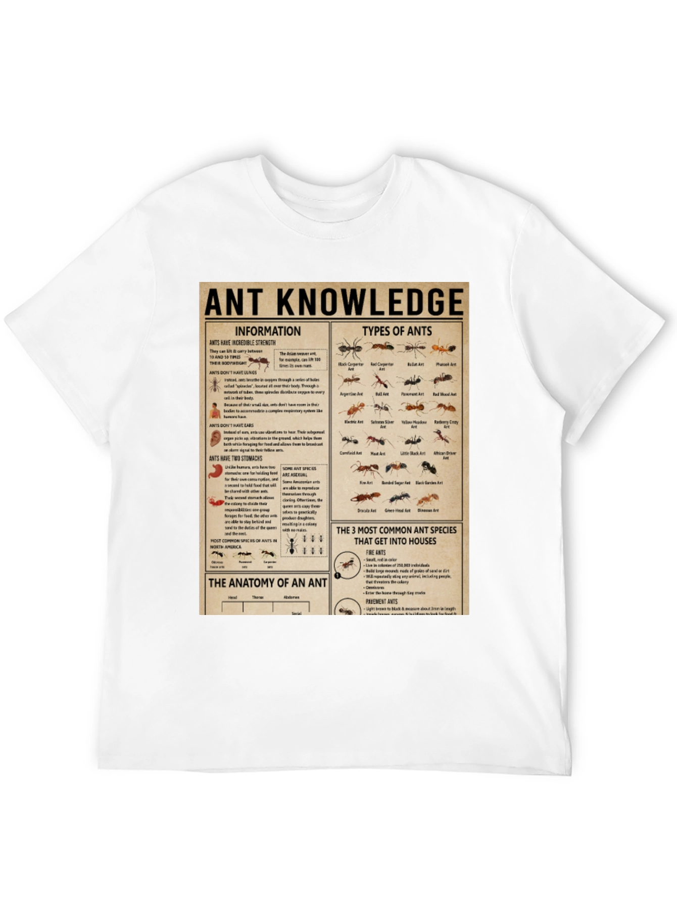 Ant Knowledge T-Shirt