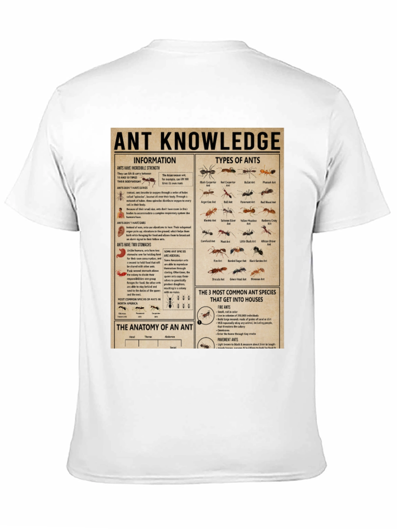 Ant Knowledge T-Shirt