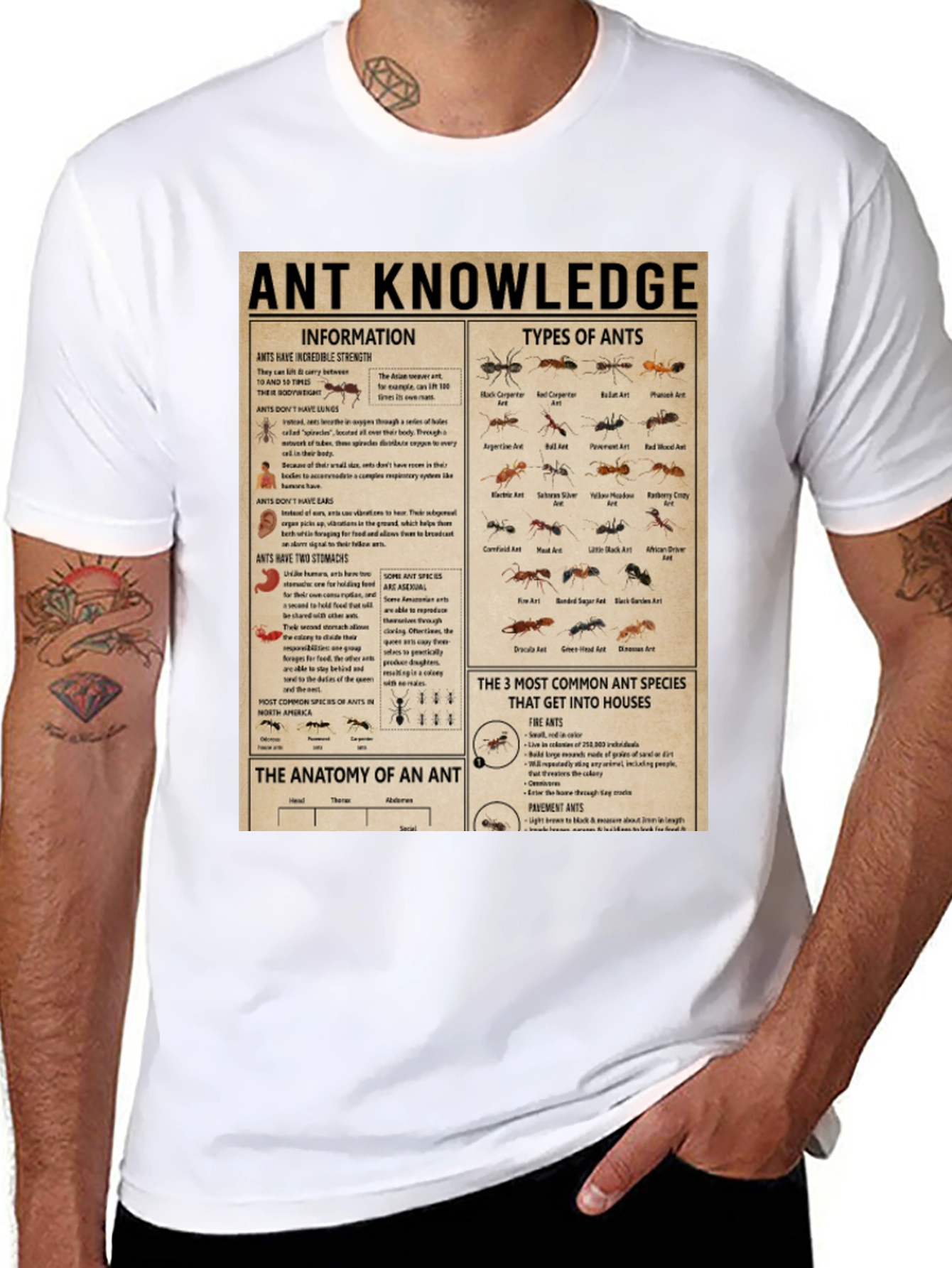 Ant Knowledge T-Shirt