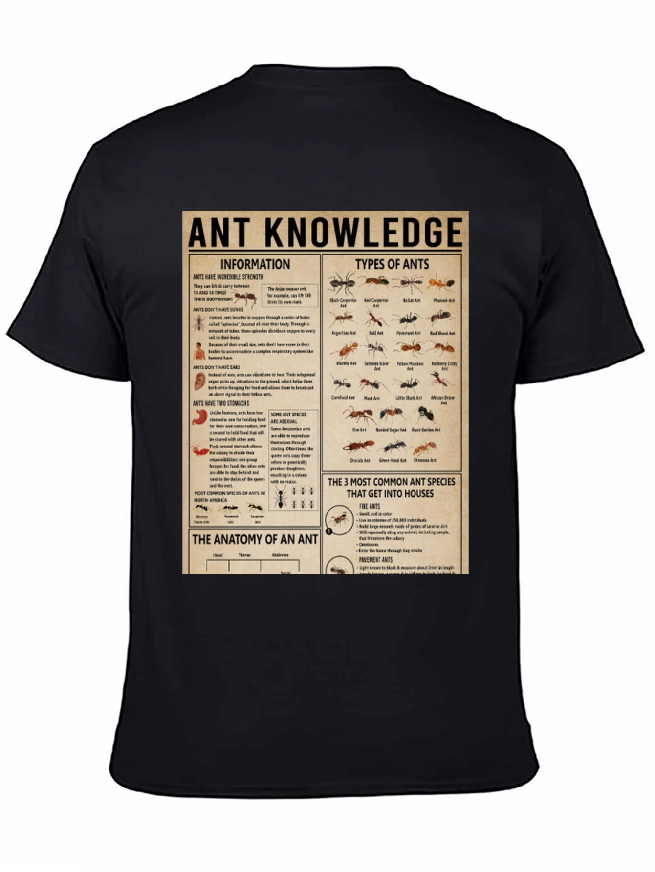 Ant Knowledge T-Shirt