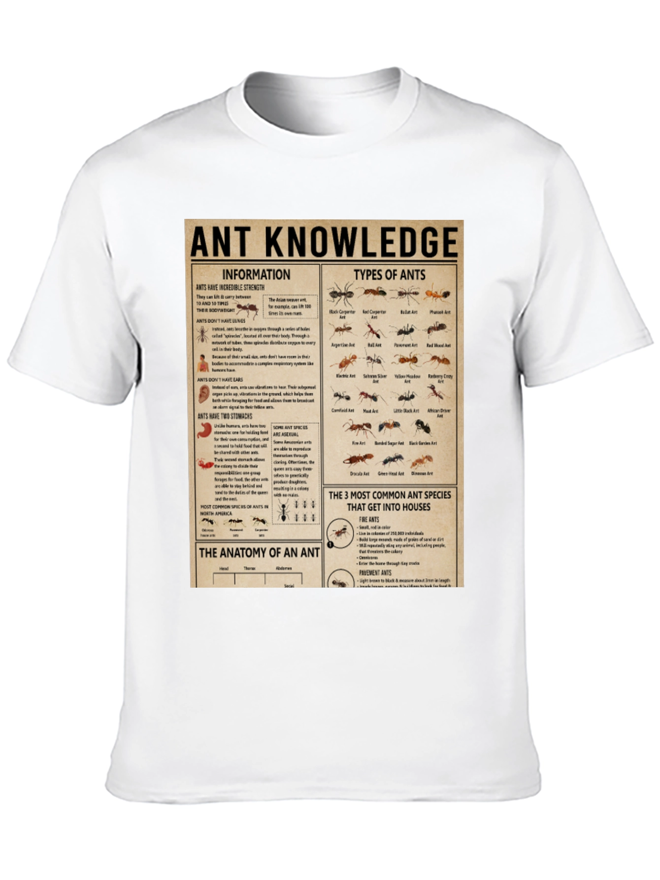 Ant Knowledge T-Shirt