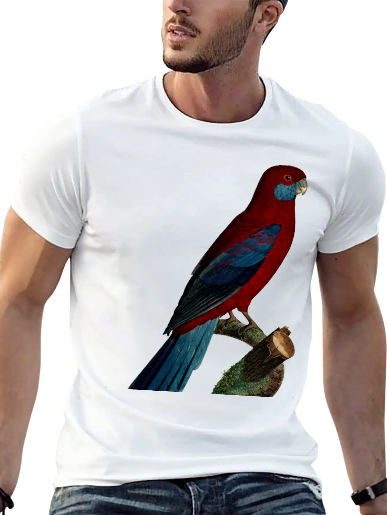 Parrot 13 Unisex Casual T-Shirt – Clean Design For Daily Comfort