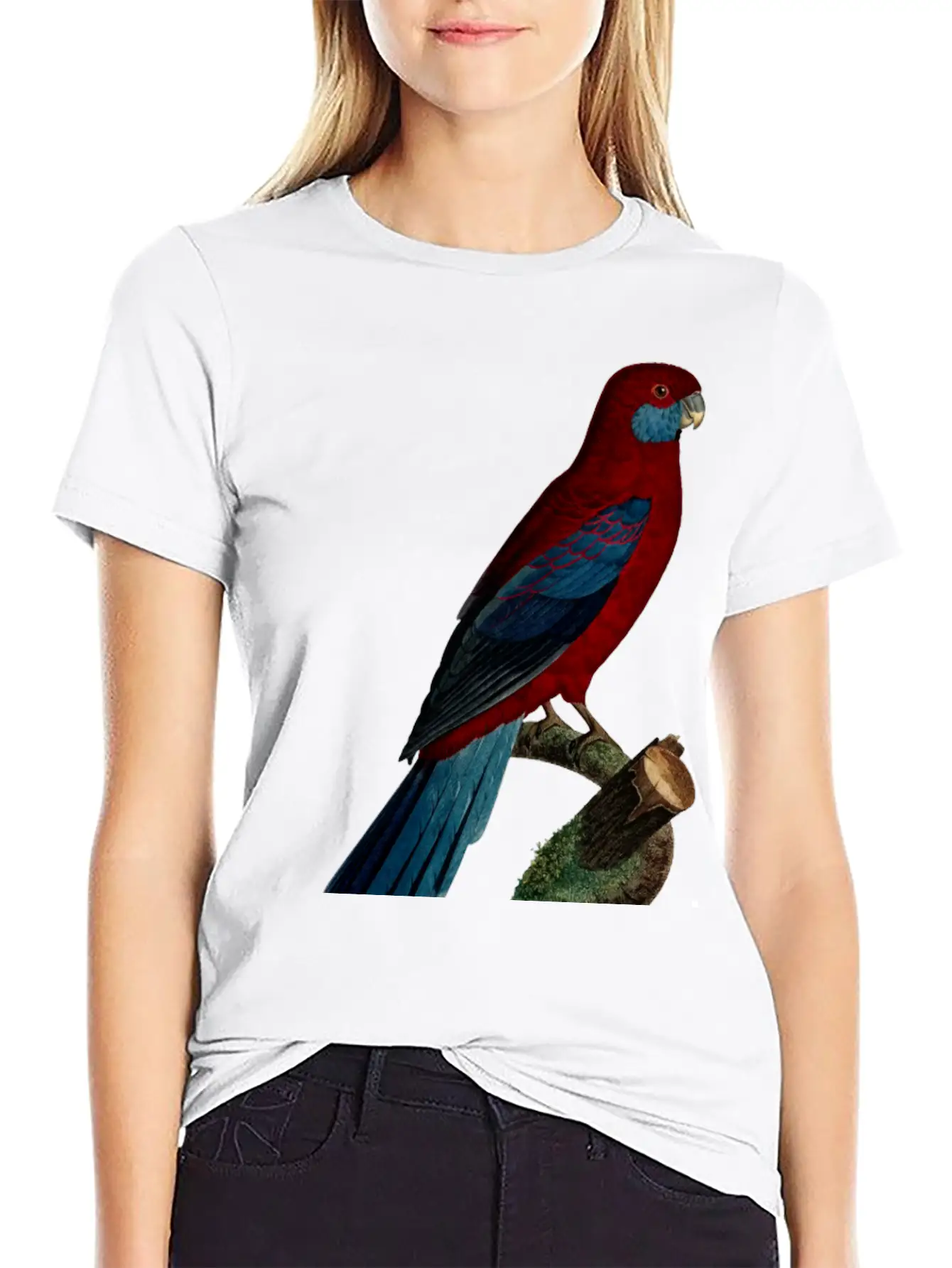 Parrot 13 Unisex Casual T-Shirt – Clean Design For Daily Comfort