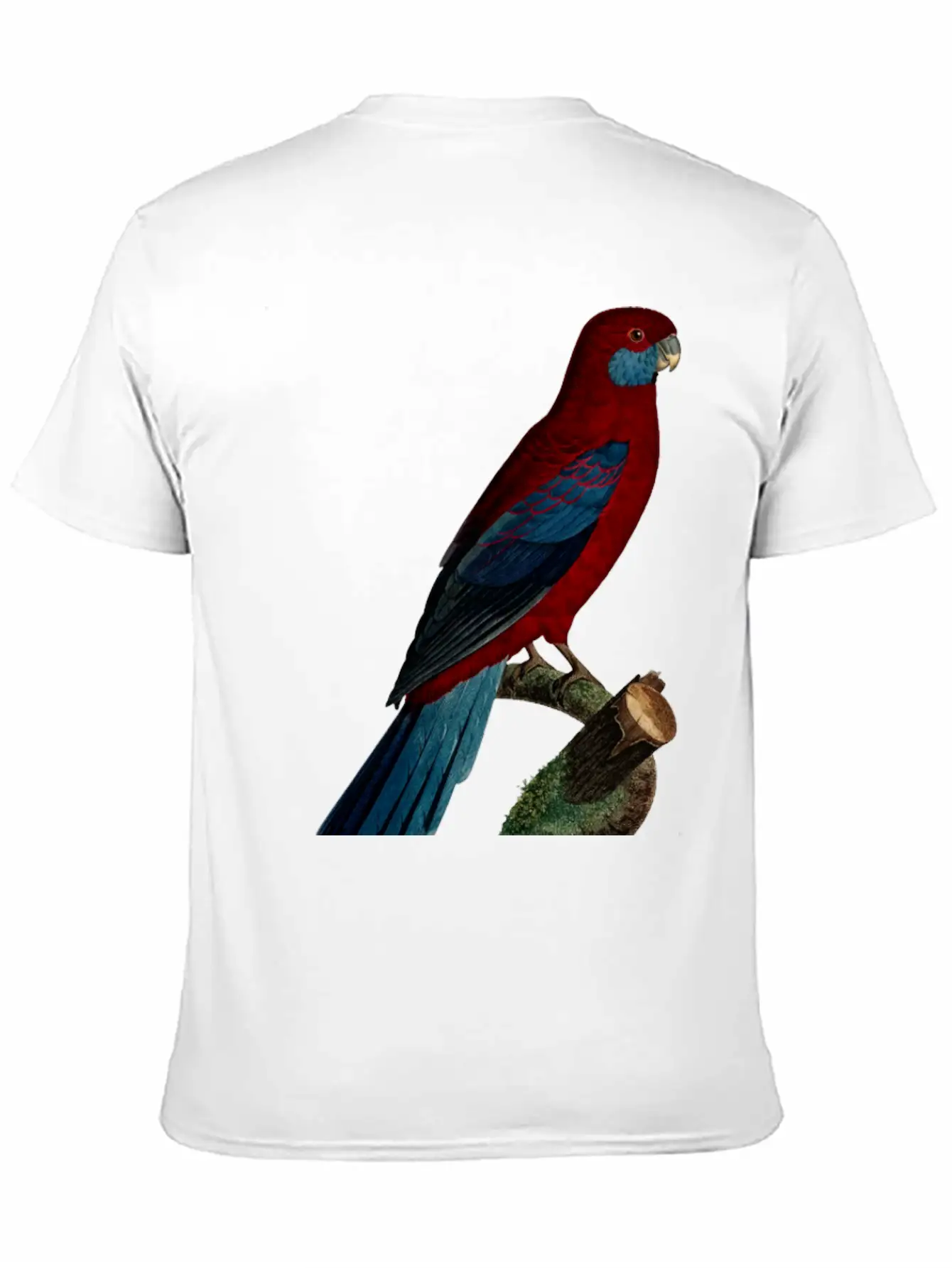 Parrot 13 Unisex Casual T-Shirt – Clean Design For Daily Comfort
