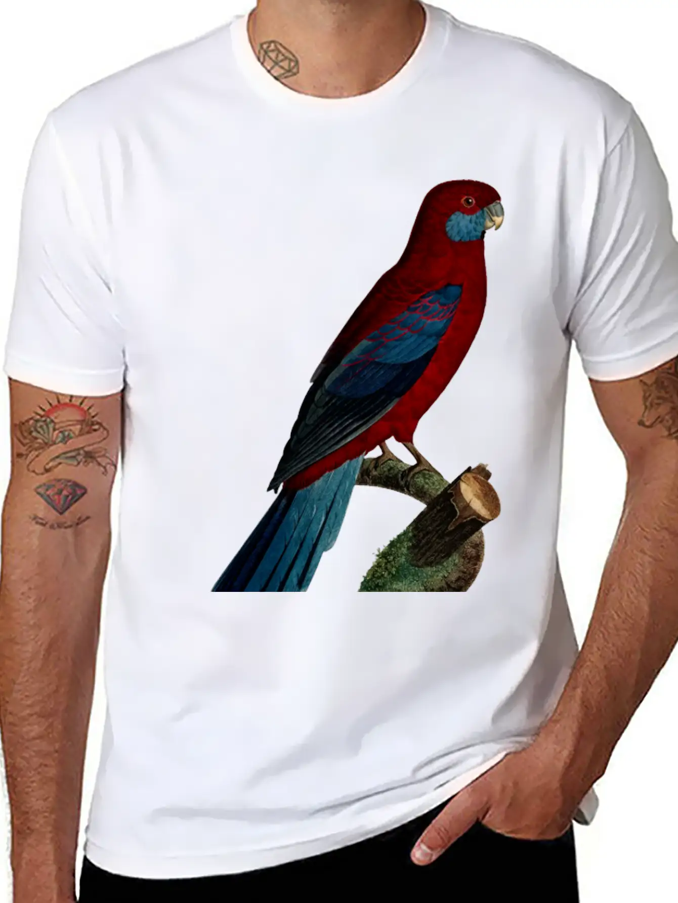 Parrot 13 Unisex Casual T-Shirt – Clean Design For Daily Comfort