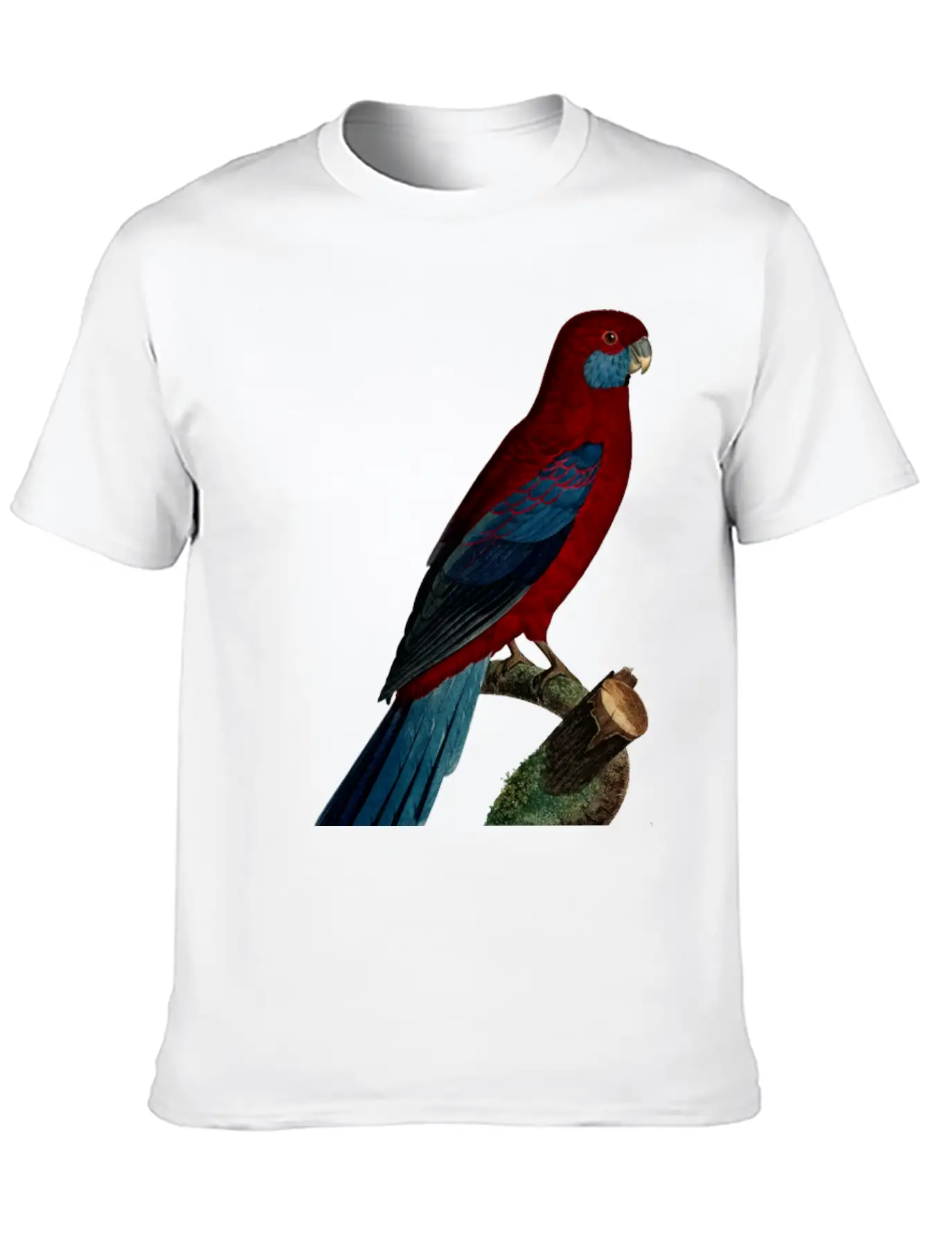 Parrot 13 Unisex Casual T-Shirt – Clean Design For Daily Comfort