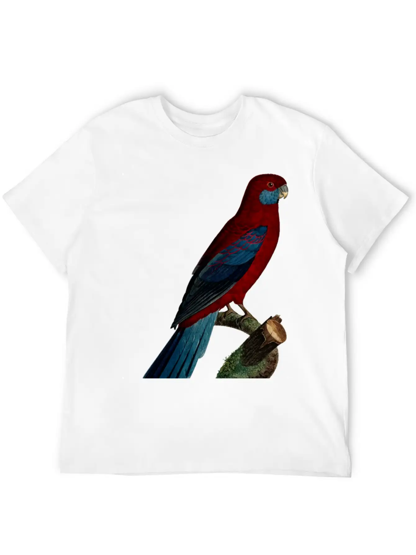 Parrot 13 Unisex Casual T-Shirt – Clean Design For Daily Comfort