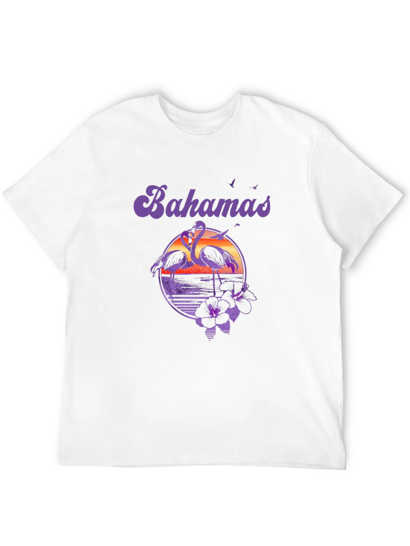 Bahamas Flamingo Sunset T-Shirt
