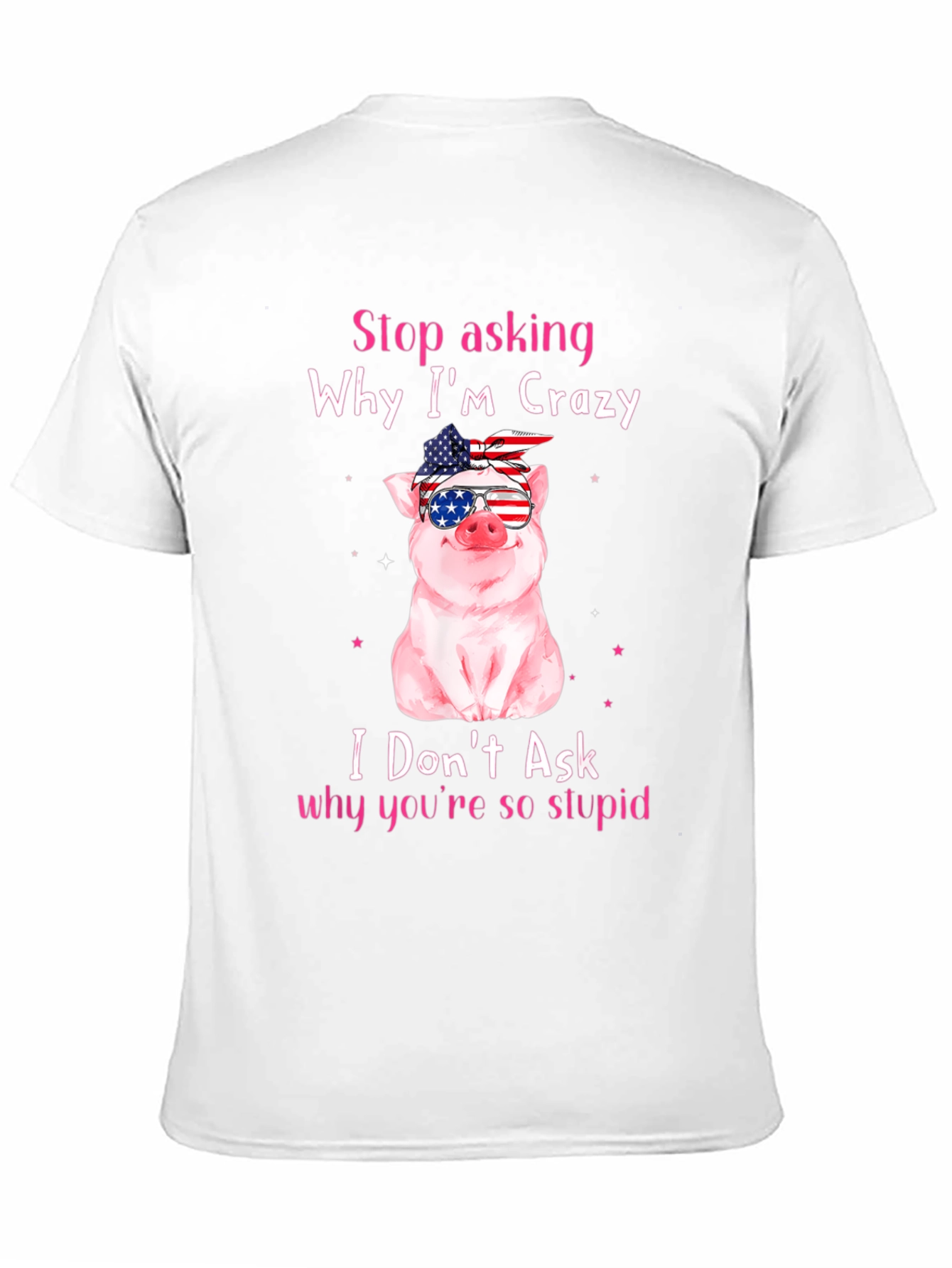 Crazy Pig USA Flag T-Shirt